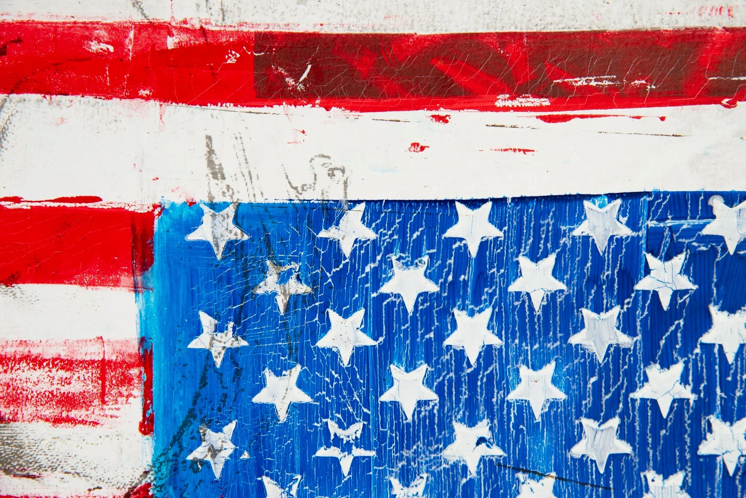 home of the brave, detail