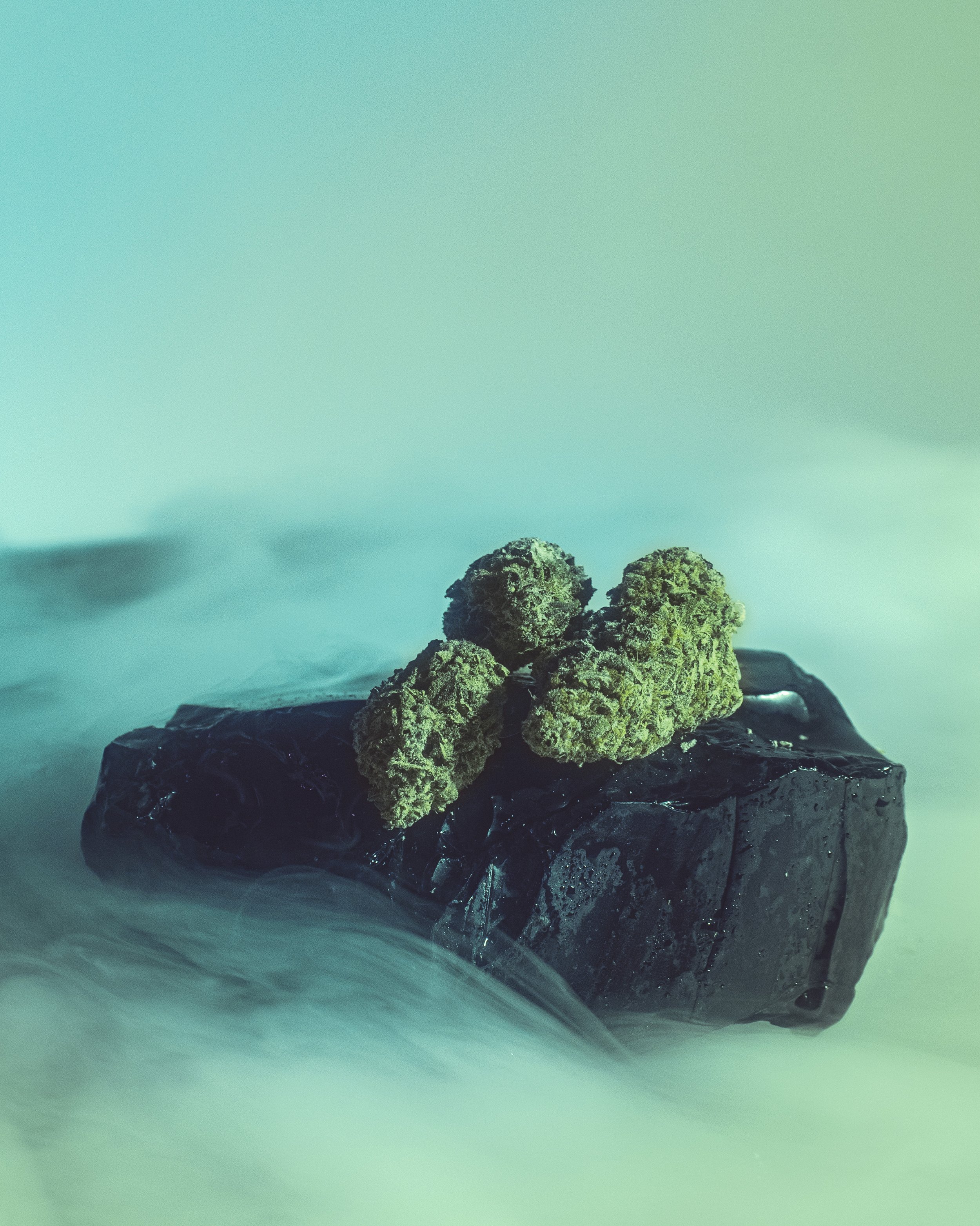 Viridis Cannabis | Product Photography