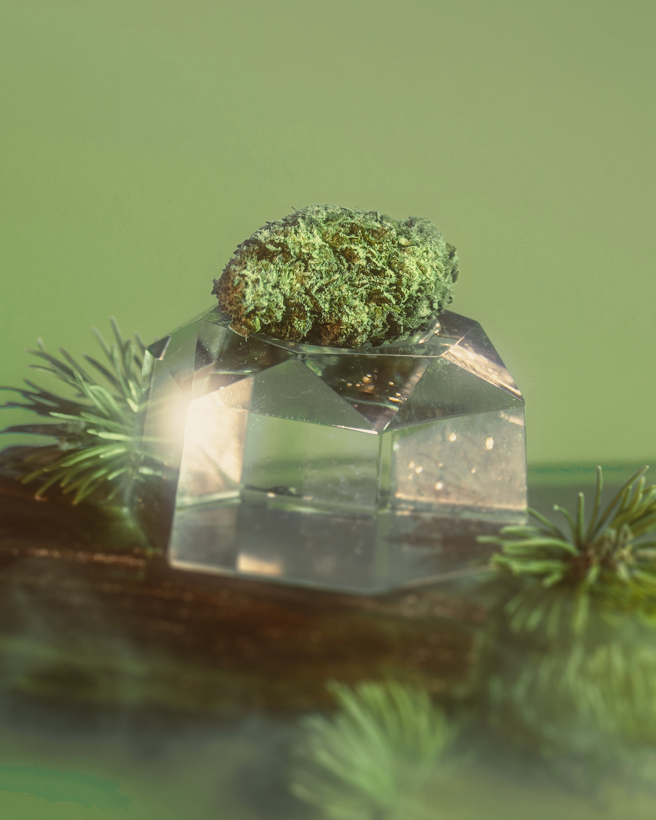 Viridis Cannabis | Product Photography