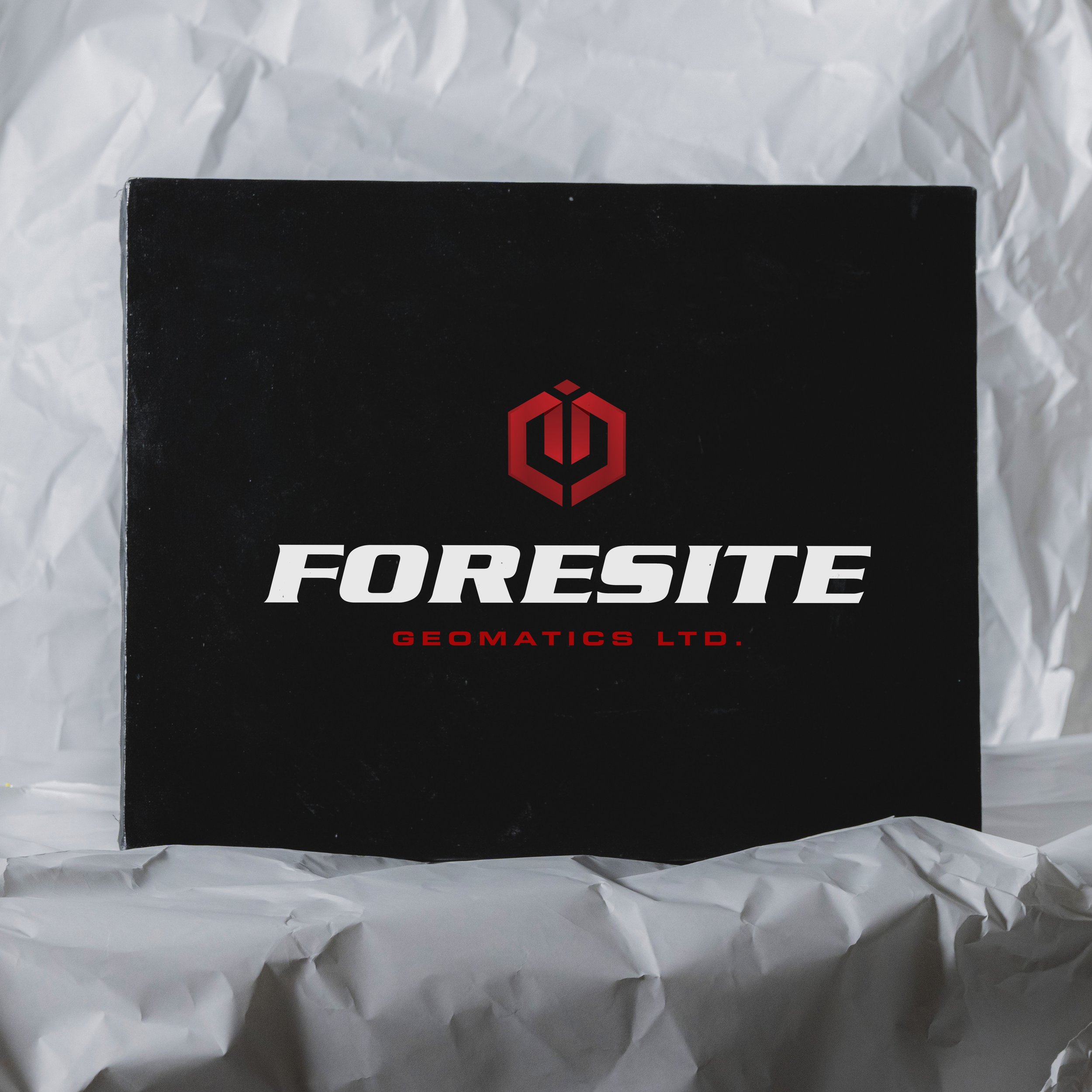Foresite Geomatics | Logo Design