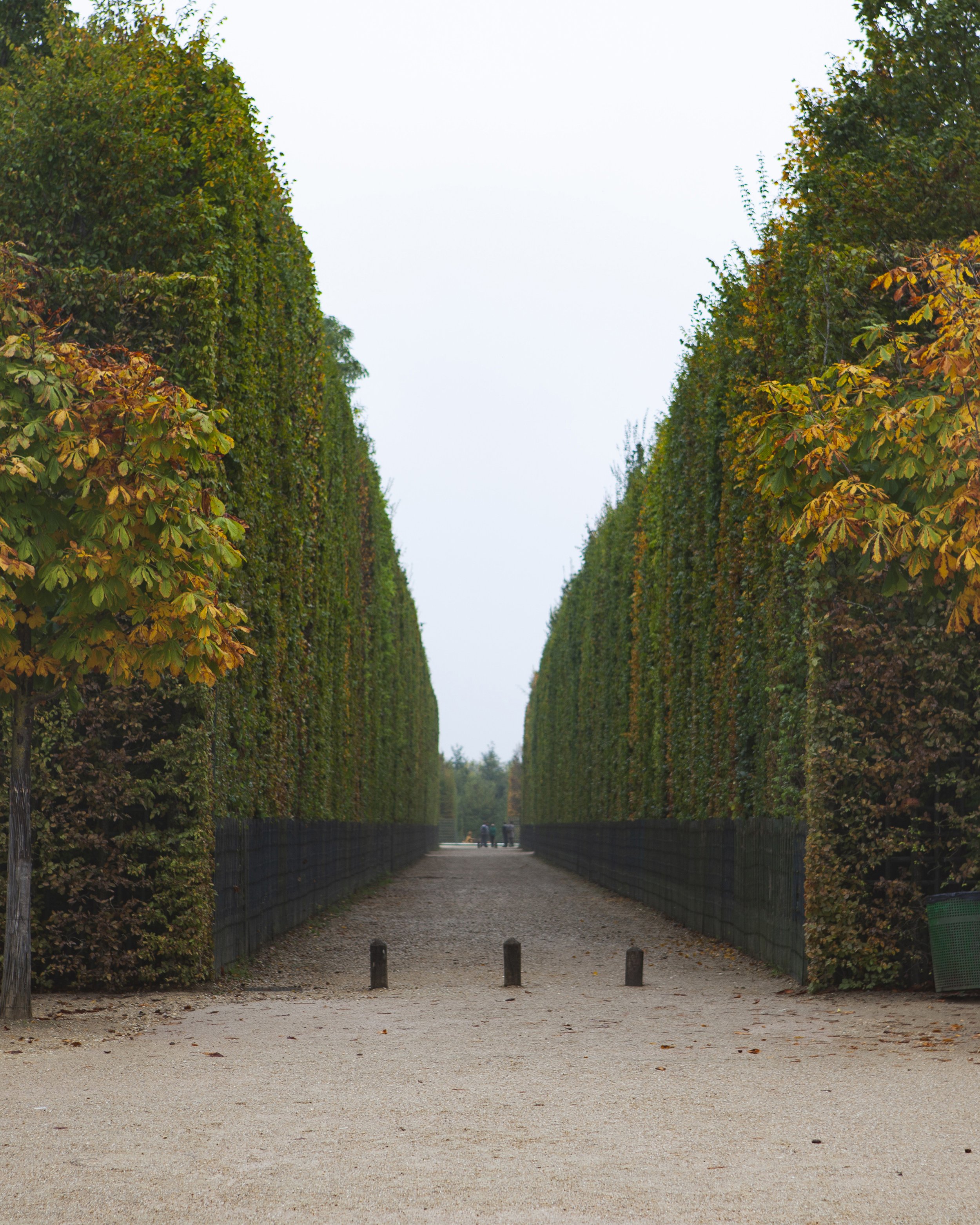 French Precision | Versailles, France