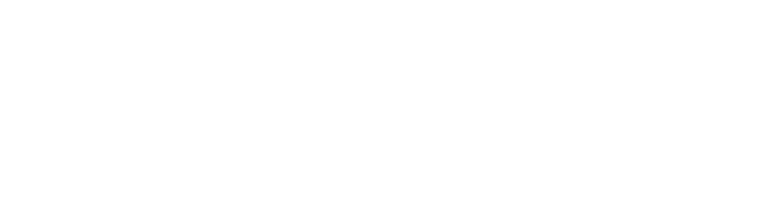 Princeton-University-wordmark-white-transparent.png