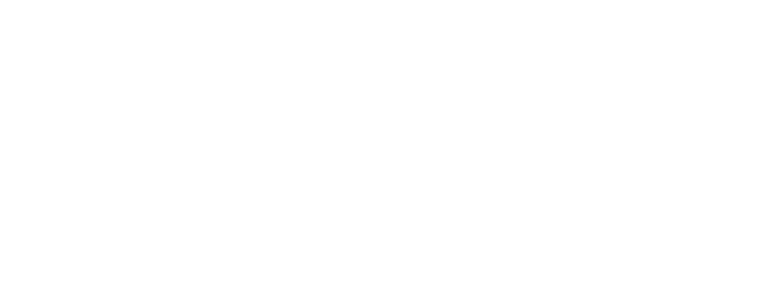 Amnesty-International-white-transparent.png