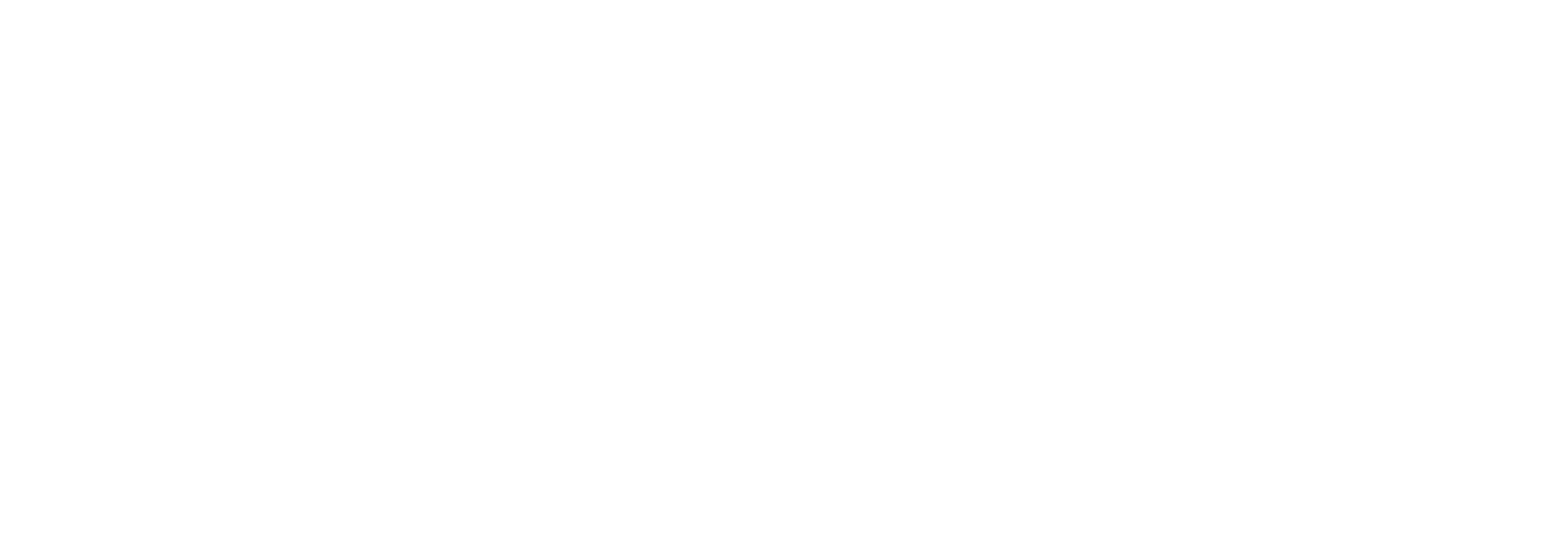 Advocacy-Project-white-transparent-no-tagline.png