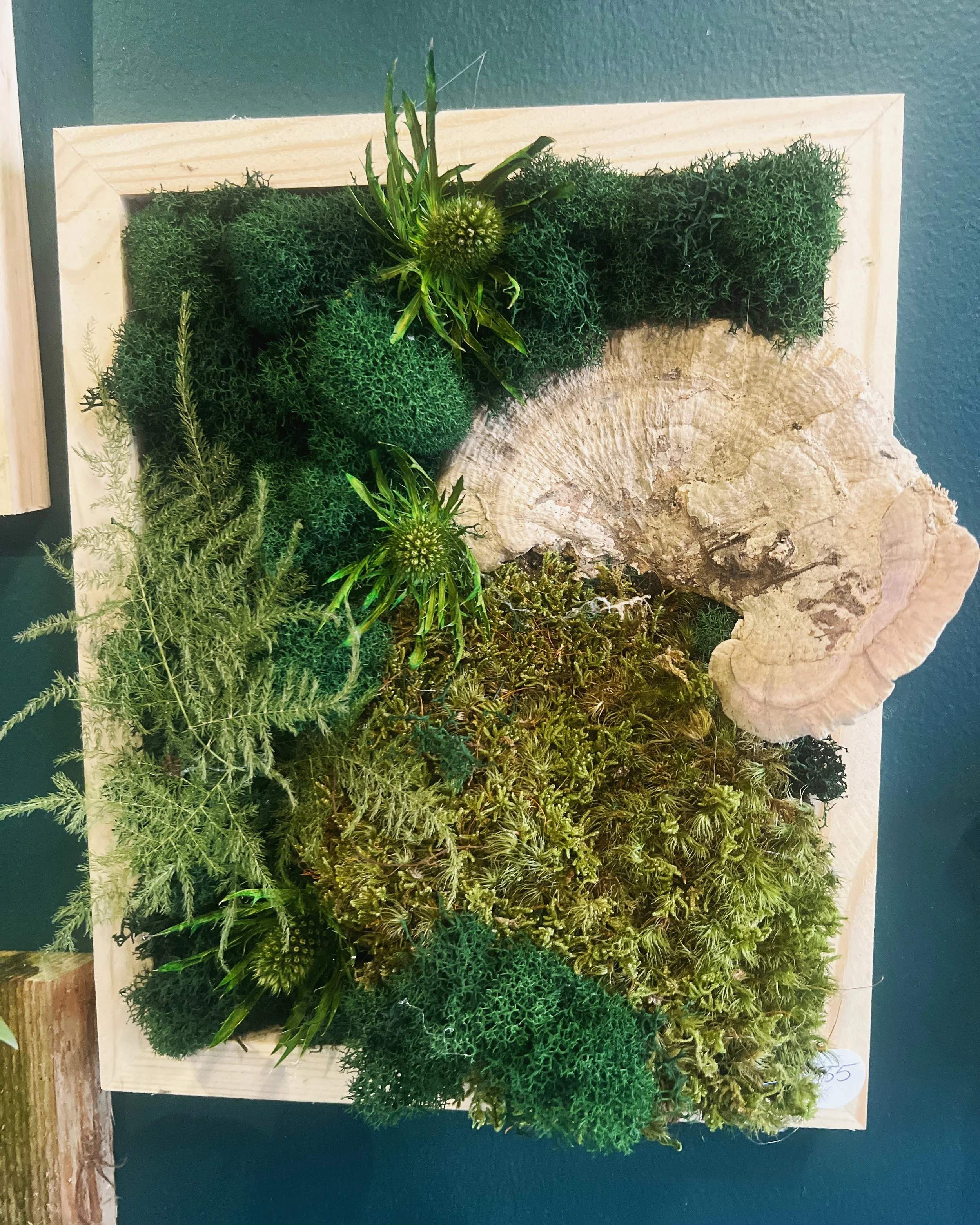 Moss Art Workshop @ PLNTR DC