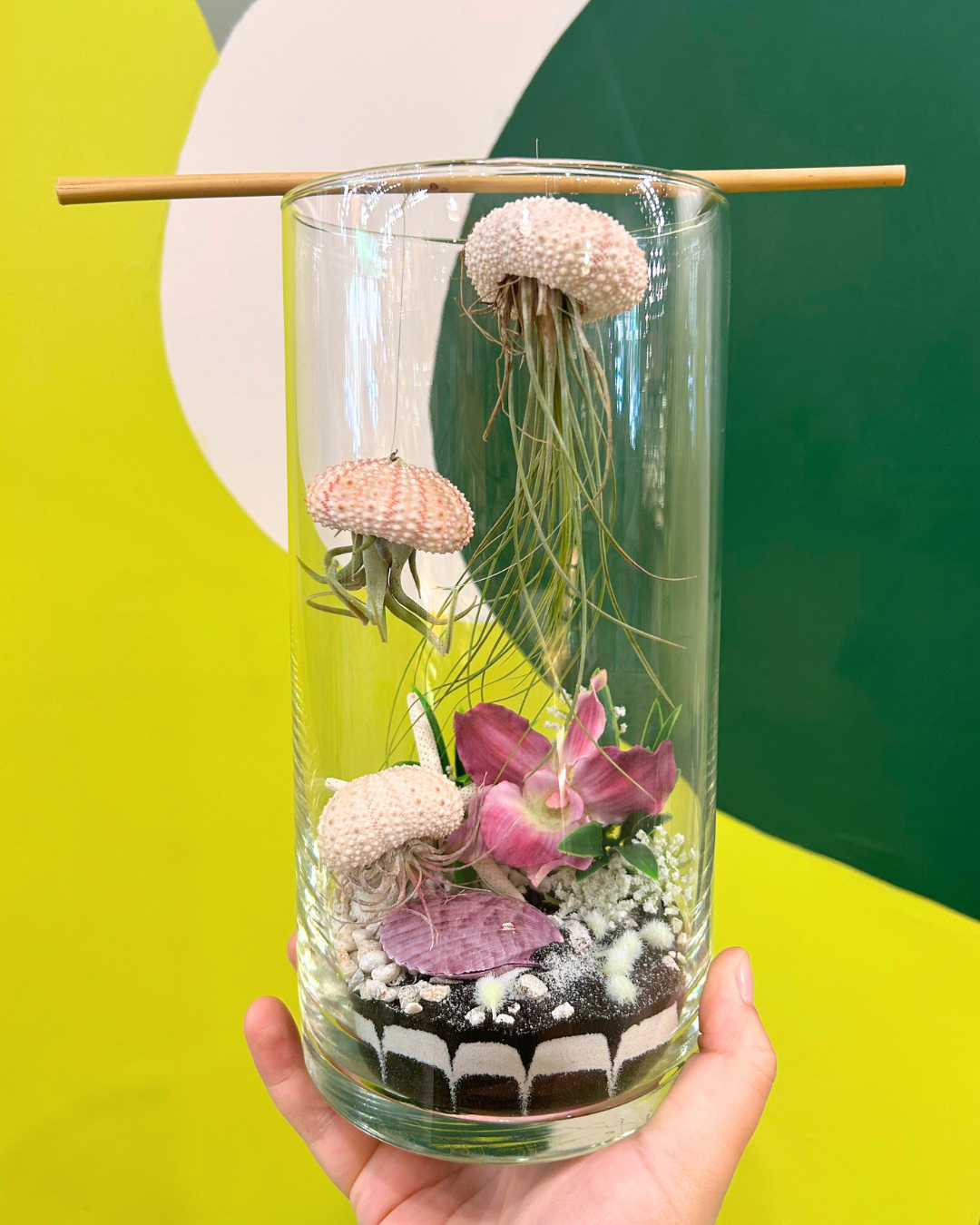 Jellyfish Workshop