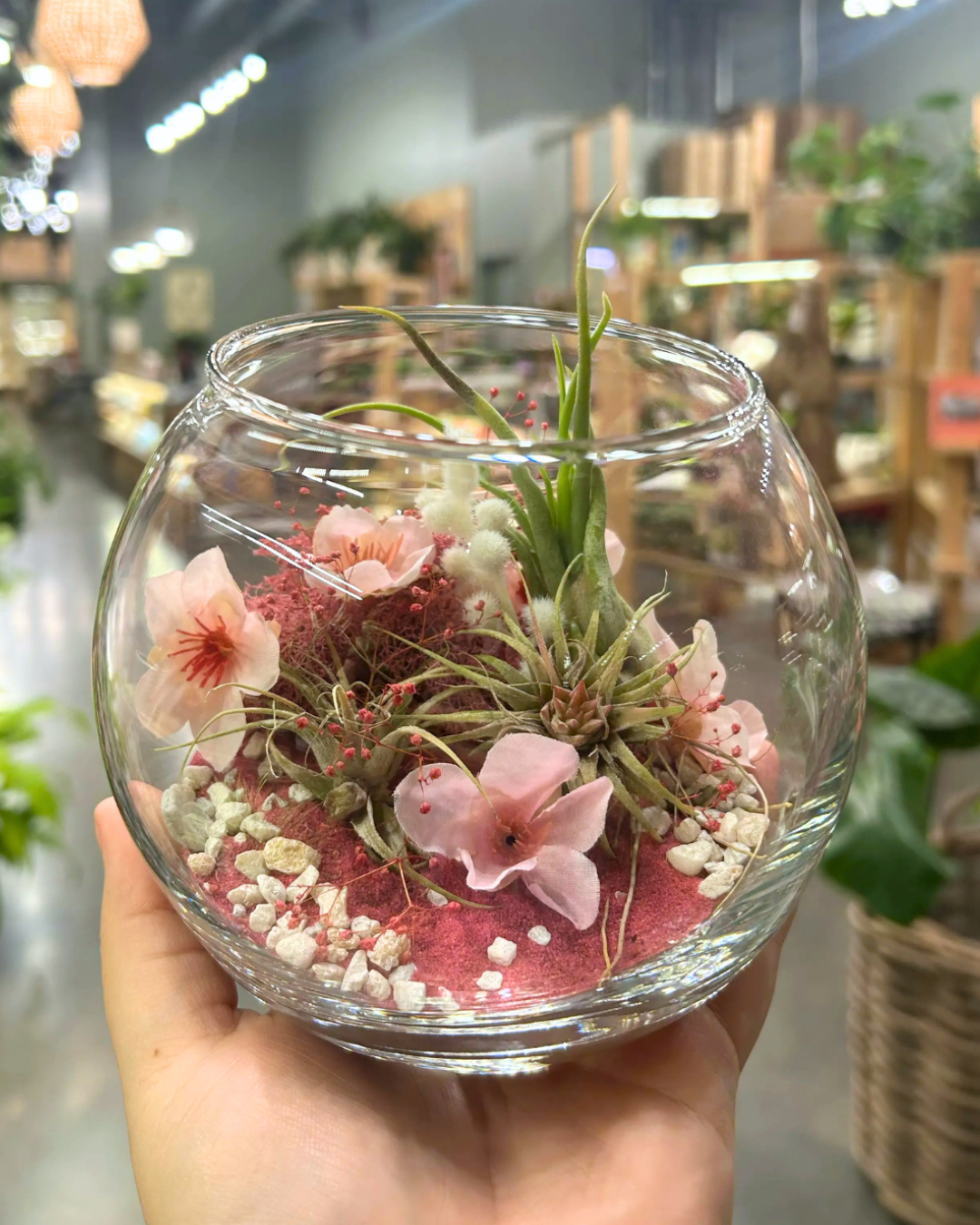 Cherry Blossom Air Plant Terrarium Workshop 