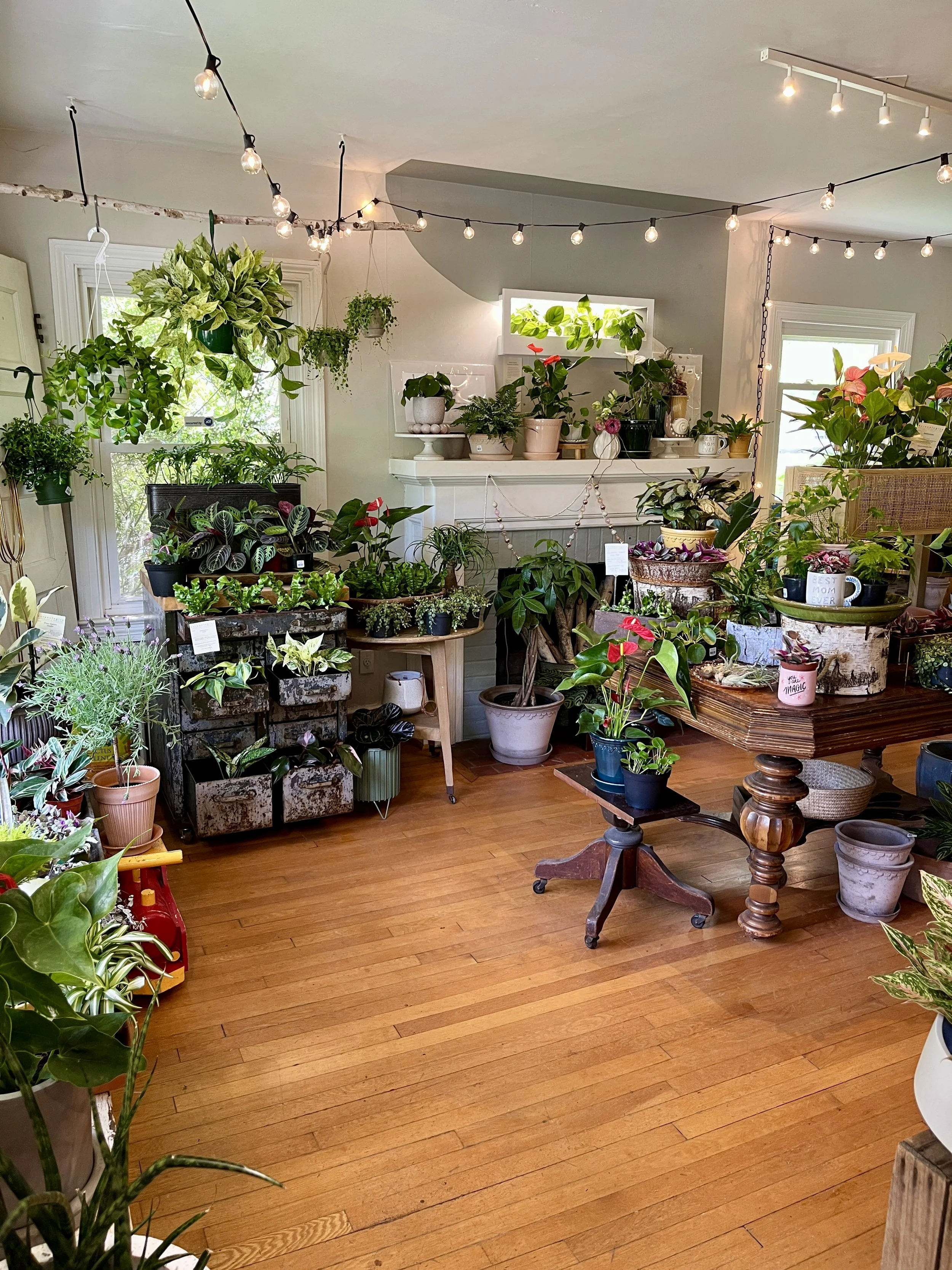 Botanical Happy Hour + Plant Swap