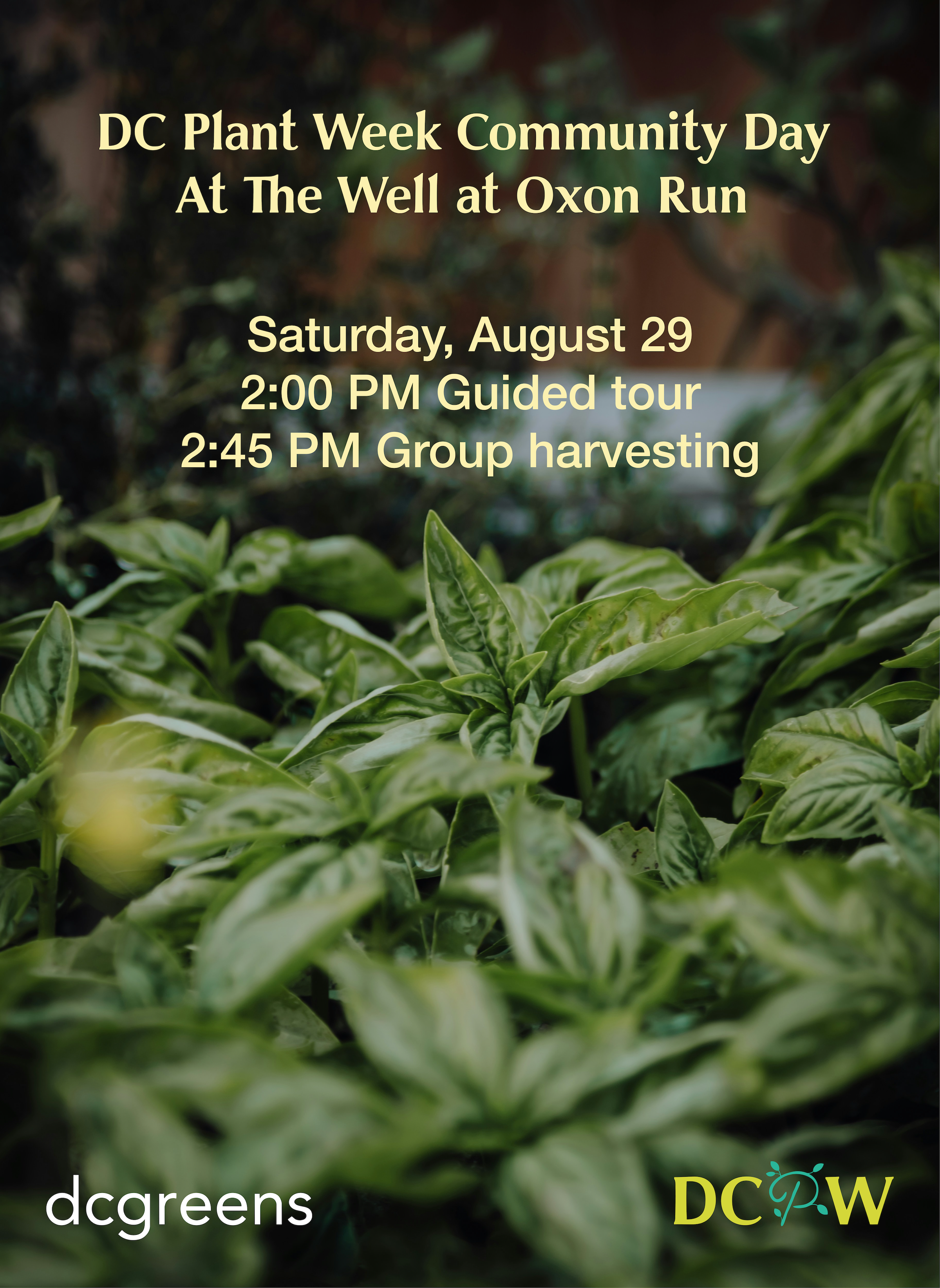 DCPW Community Day at The Well at Oxon Run