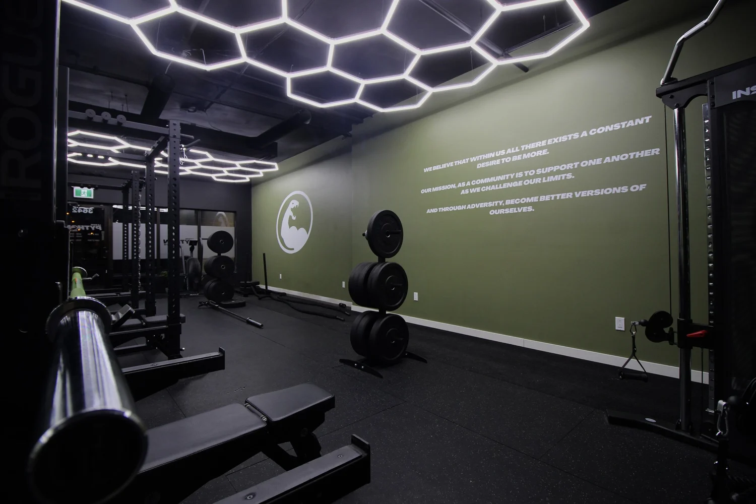 PYTHON THE GYM
