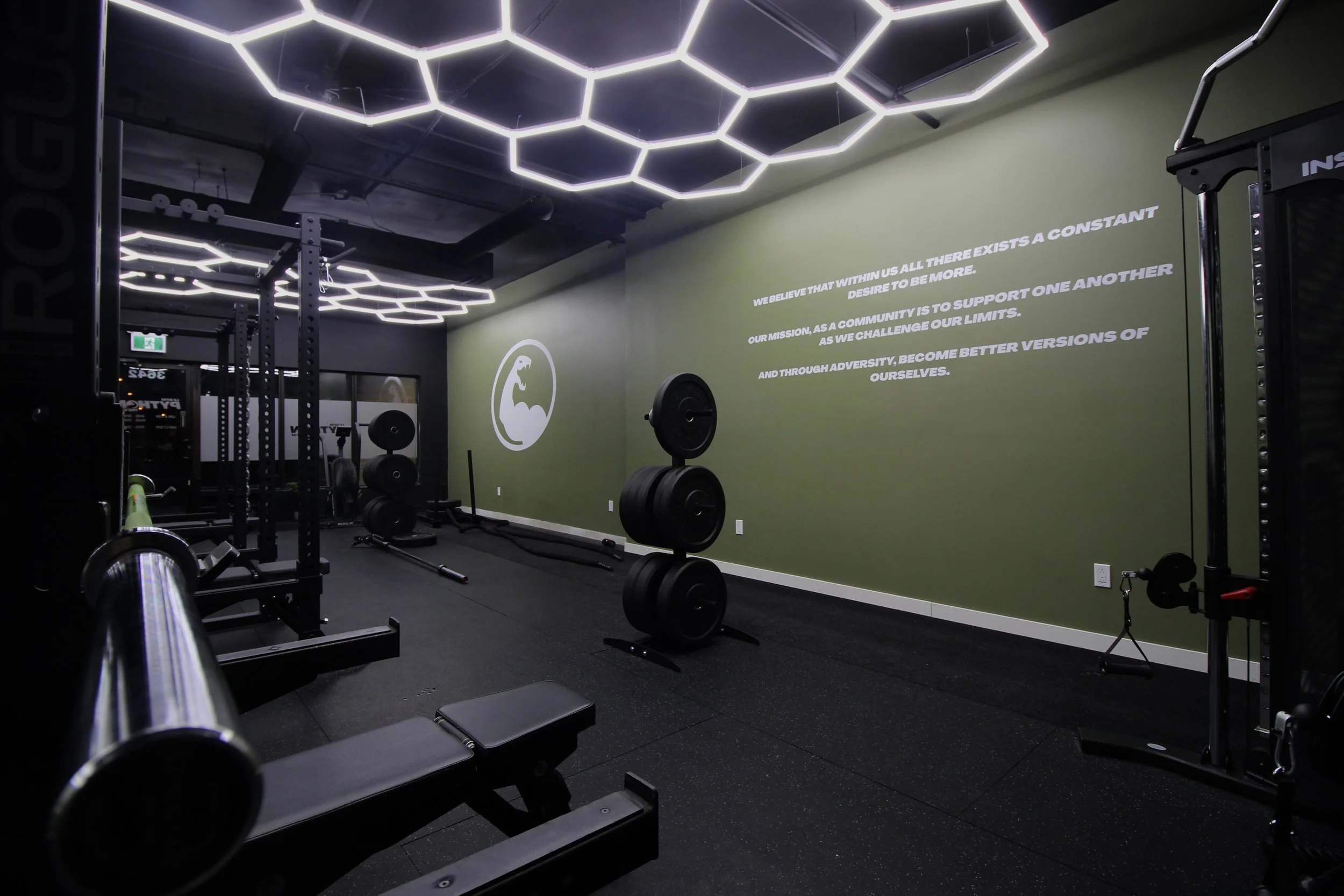 PYTHON THE GYM