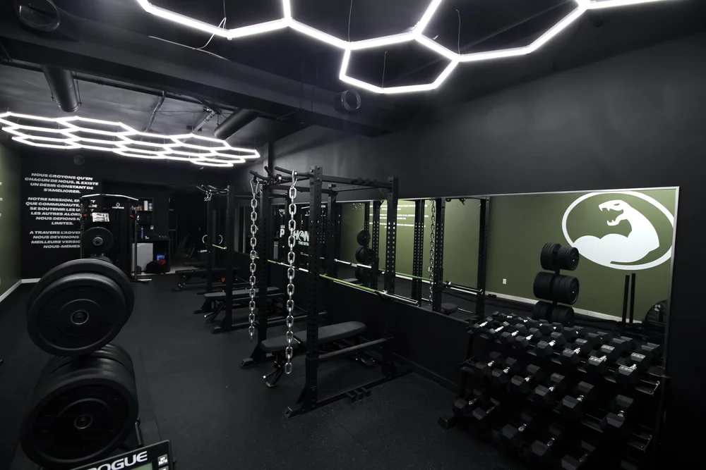 PYTHON THE GYM