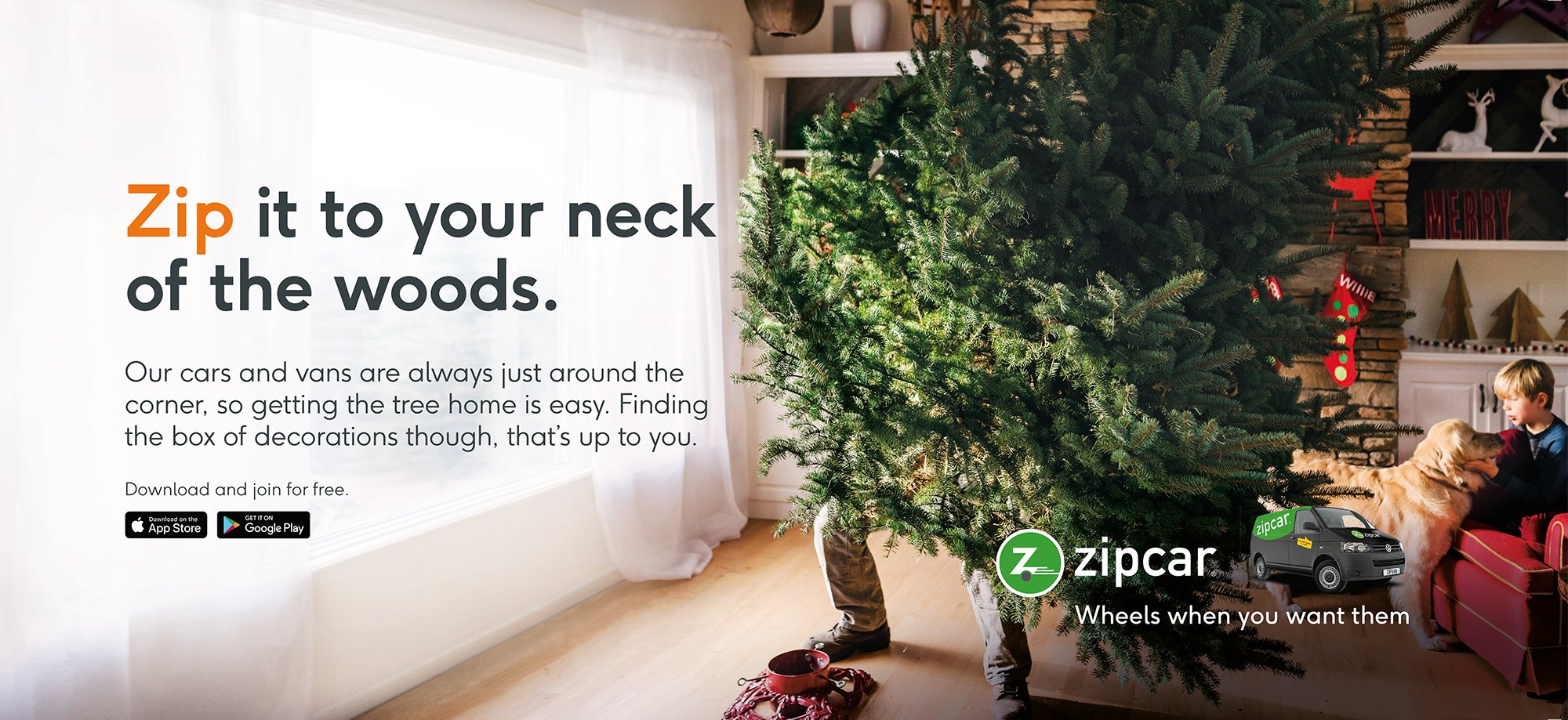 ZipCar_tree.jpg