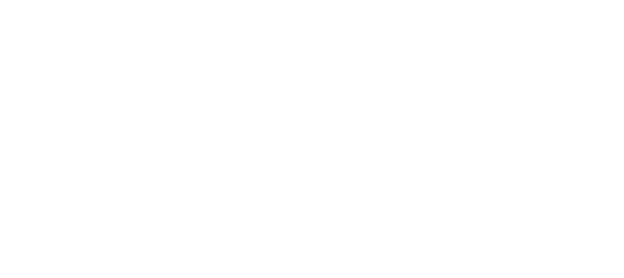 Serin Silva Intuitive Business Coaching 