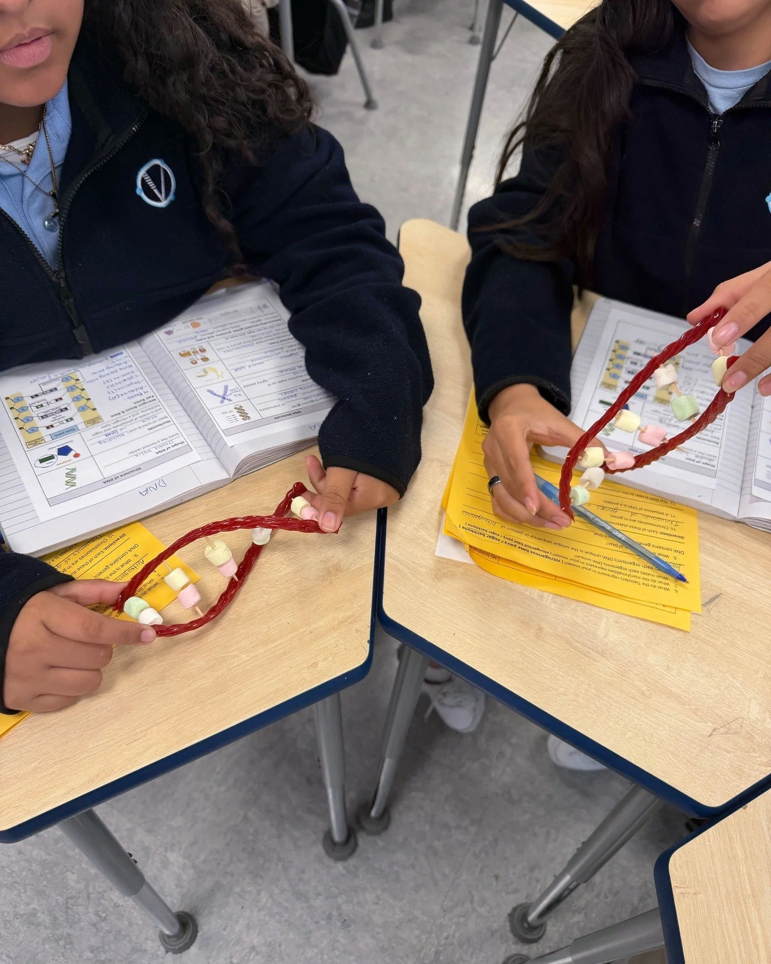 DNA Model Lab in Biology 🧬💙