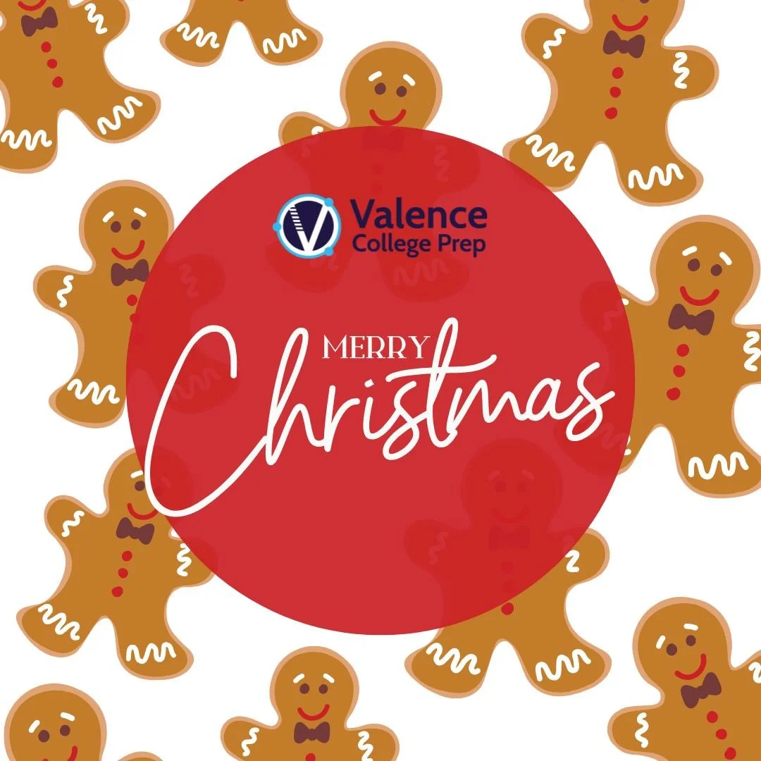 Merry Christmas! 🎄💙