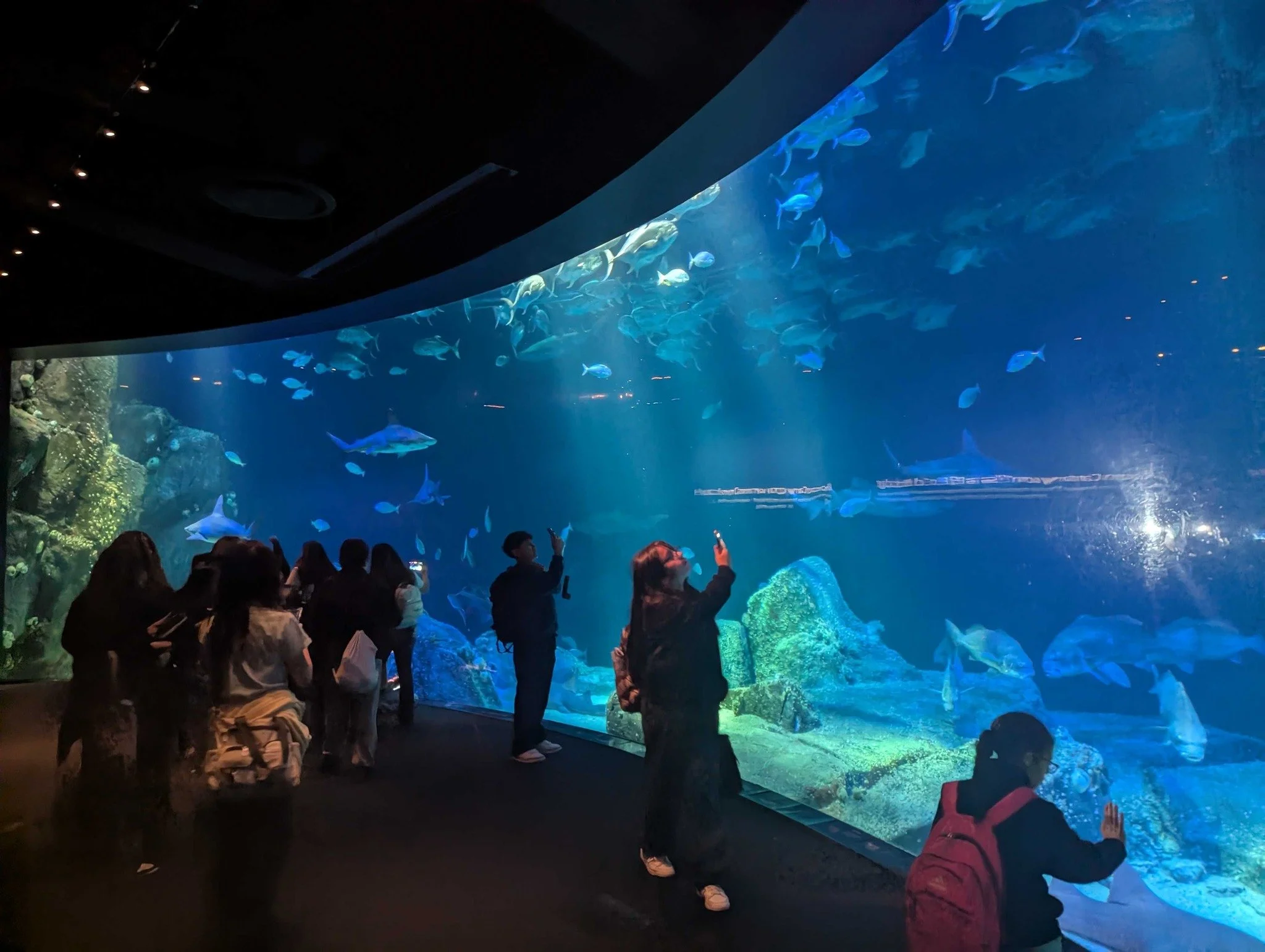Our 6th Graders take over the Coney Island Aquarium 💙🐠🦈