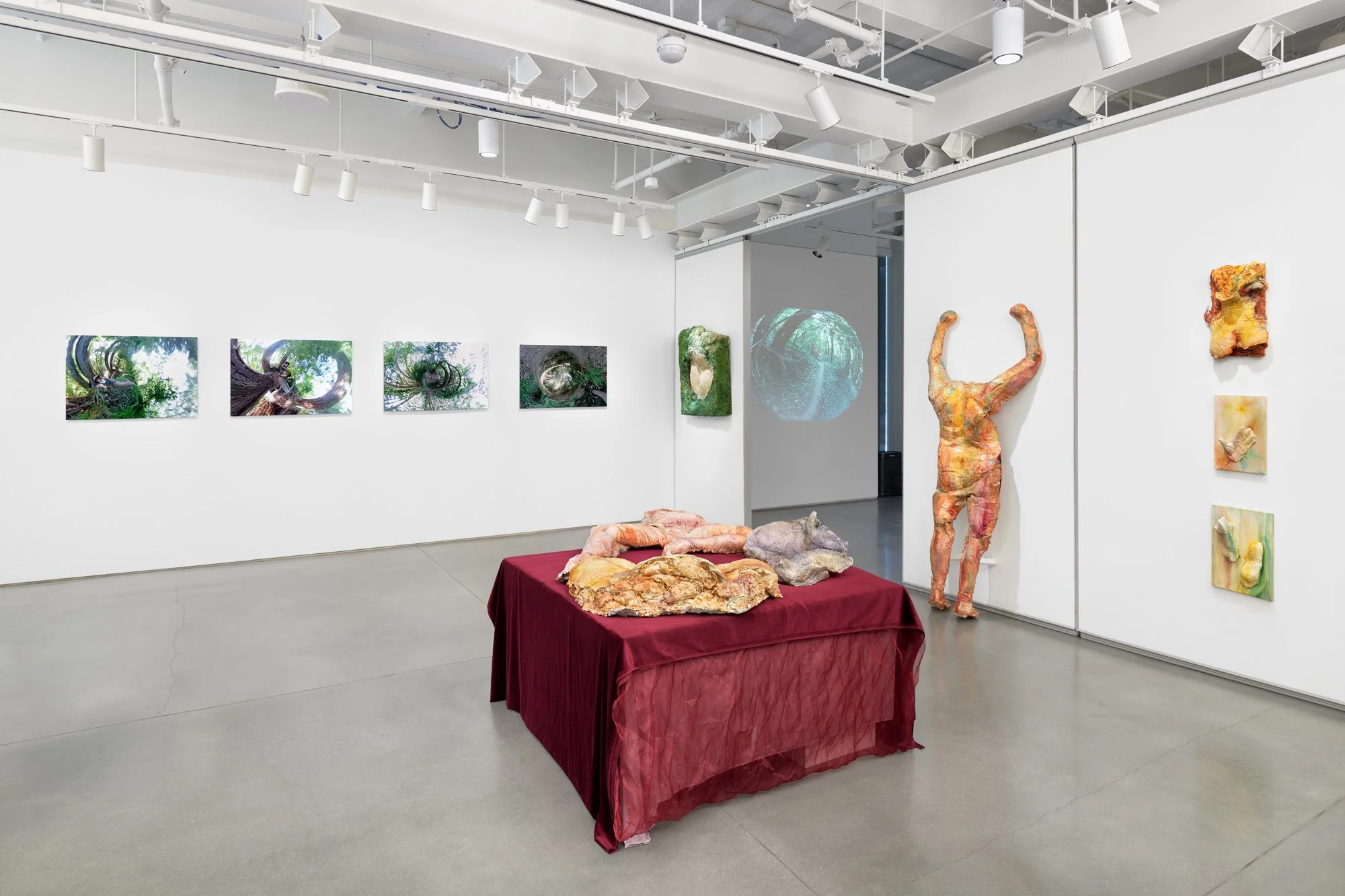 Traverses: Installation Shot