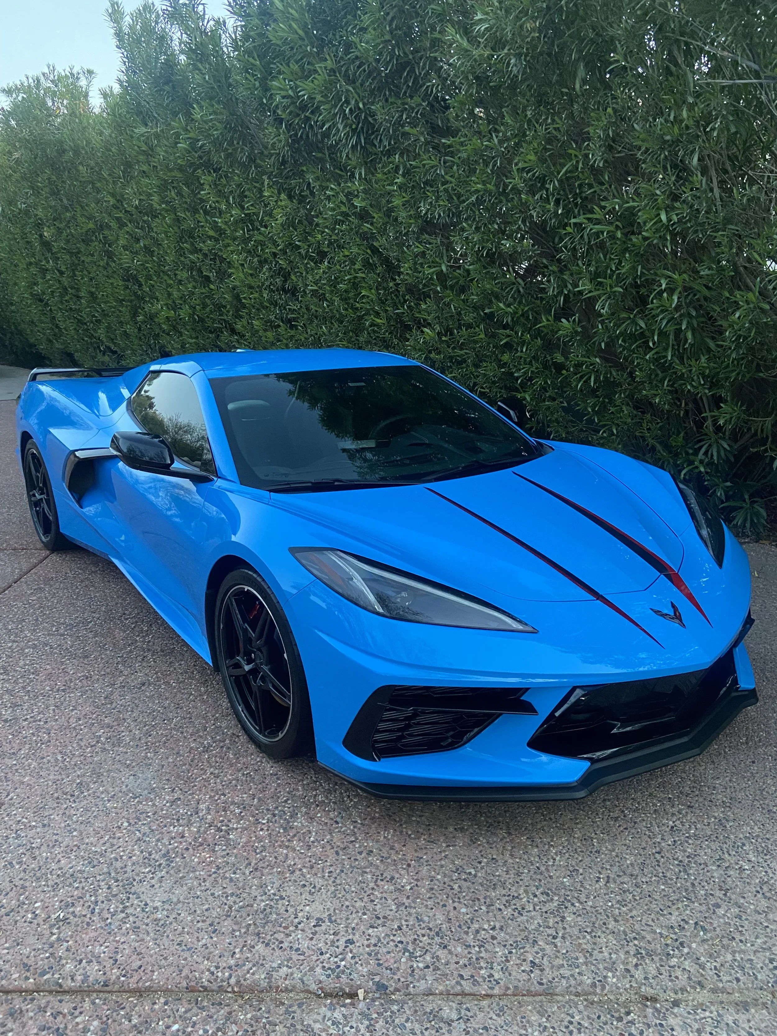 niel alexander 1.JPG