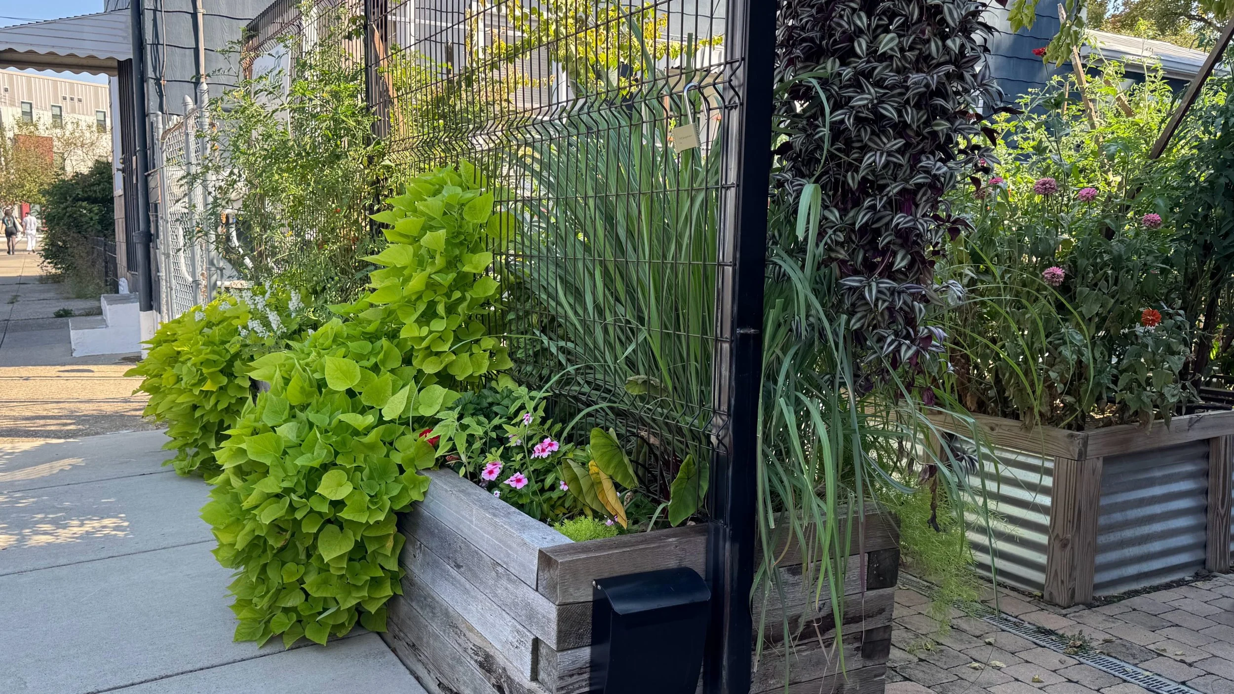 Happen, Inc.'s Do Good Garden in Northside