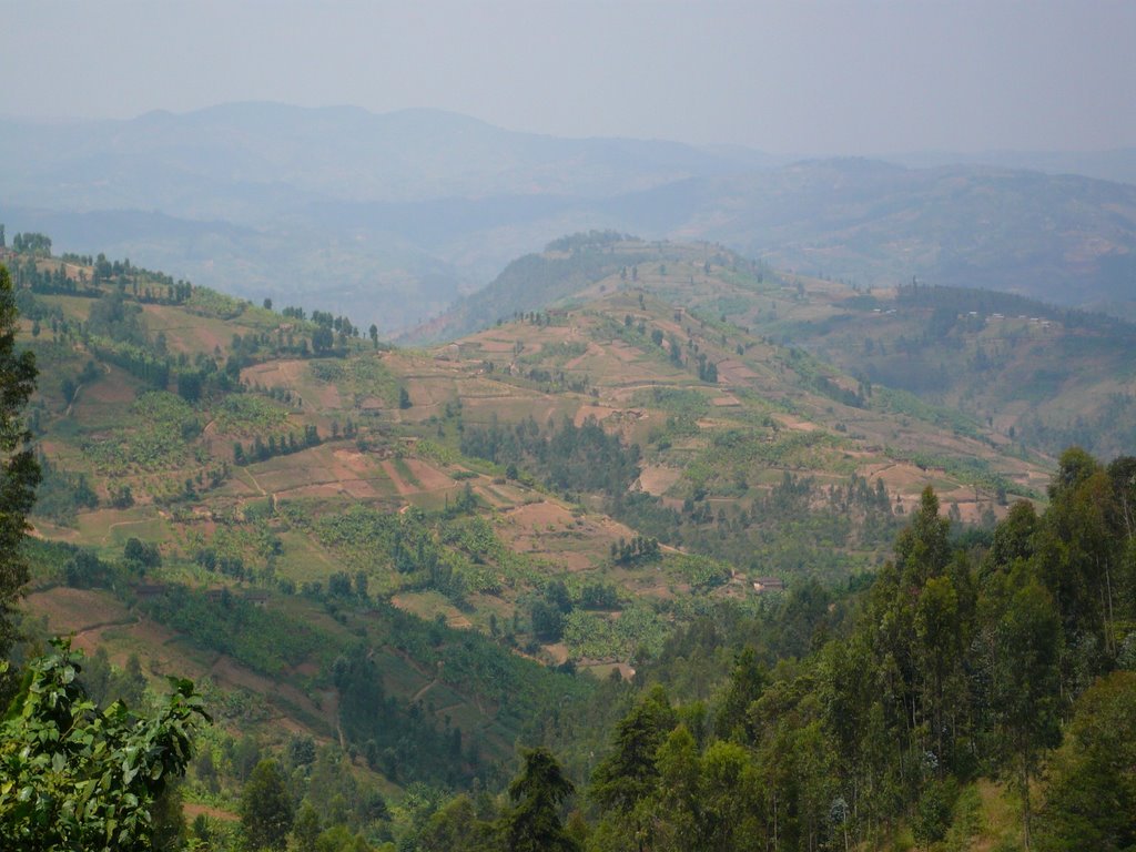 P1010106.jpg