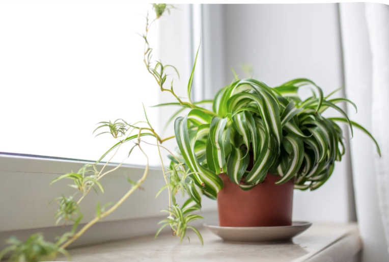 Screenshot 2026-03-18 at 1.37.19 PM.png