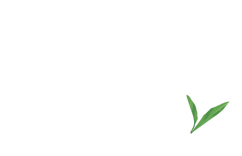 Plant Zaddy Club