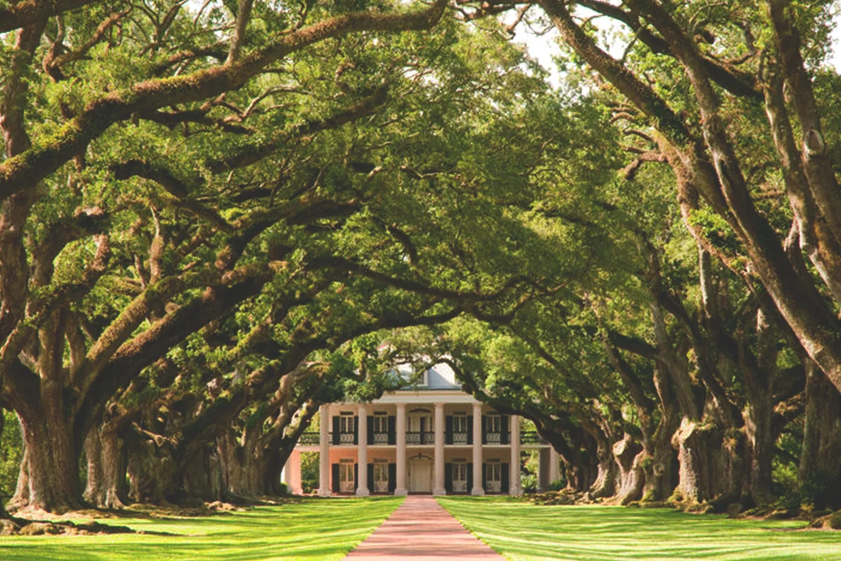 Oak Alley Plantation Tour