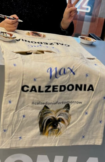 tote+bag+1.png