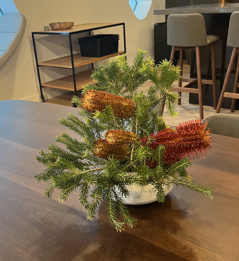 Screen Shot 2025-12-03 at 12.55.07 PM.png