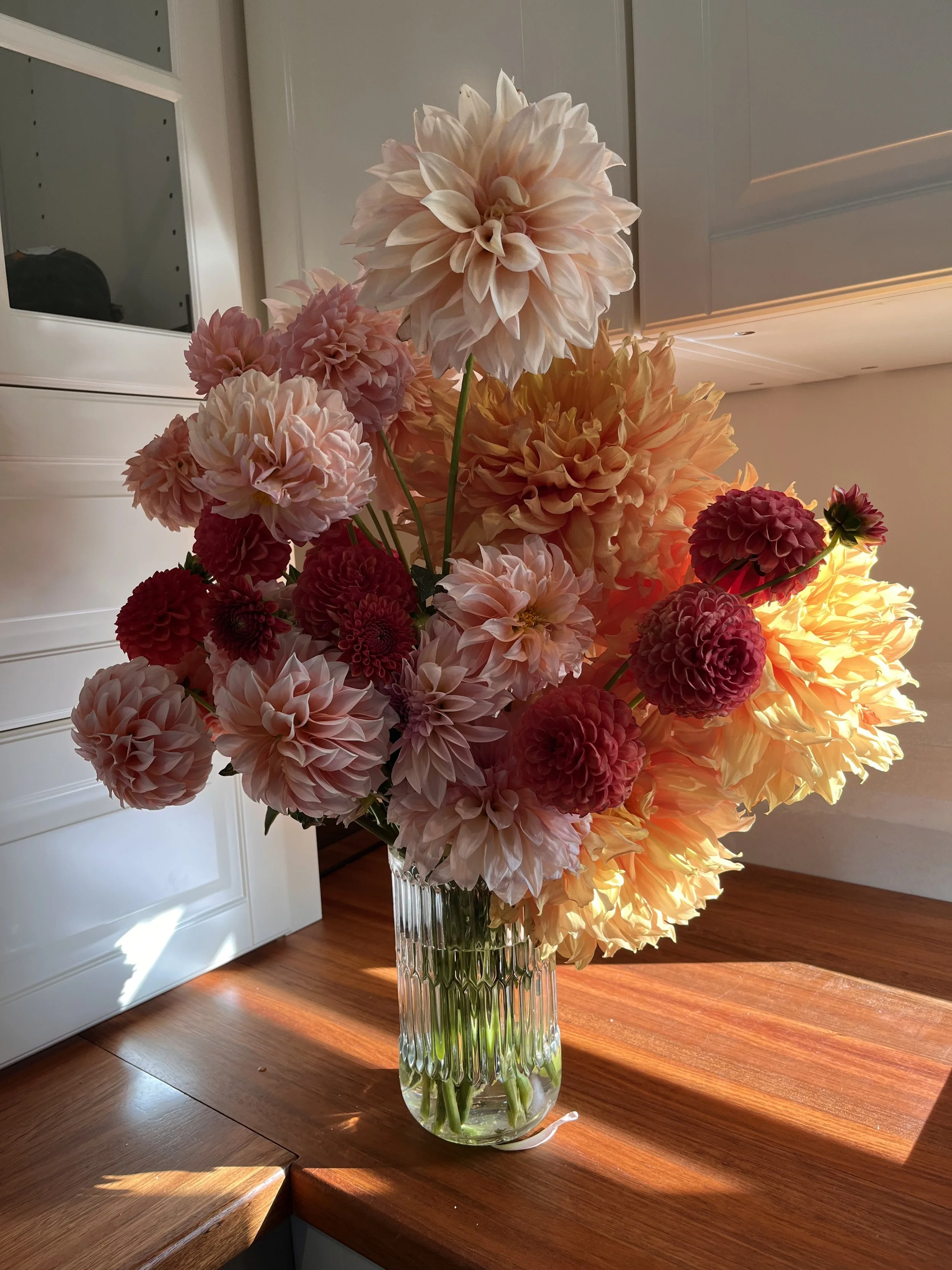 Buckley House Of Flowers