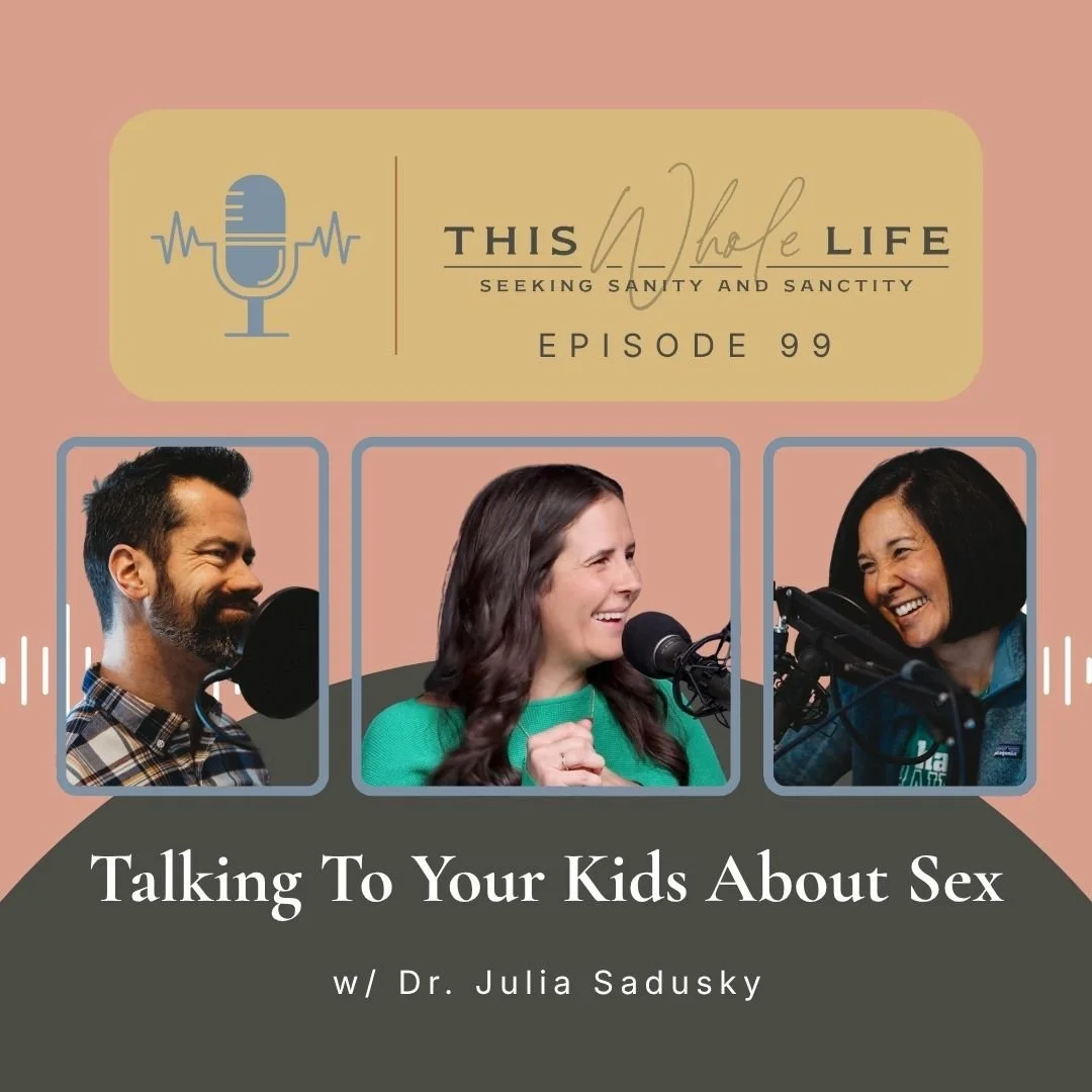 - Why do so many well-meaning Catholic parents freeze when it comes to talking to their kids about sex?
- What do you actually say when your child comes home asking about their classmate&rsquo;s parents?
- How do you talk to your kids about pornograp