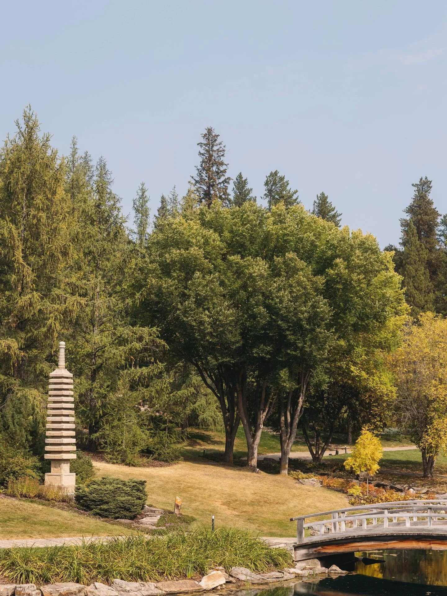 Congratulations to @raphaeljgponciano @charissagrace_ for getting engaged!!! I&rsquo;m so honored to have captured these special moments with you. What an exciting time to be alive!

If you haven&rsquo;t yet, PLEASE check out @uabotanicgarden for str