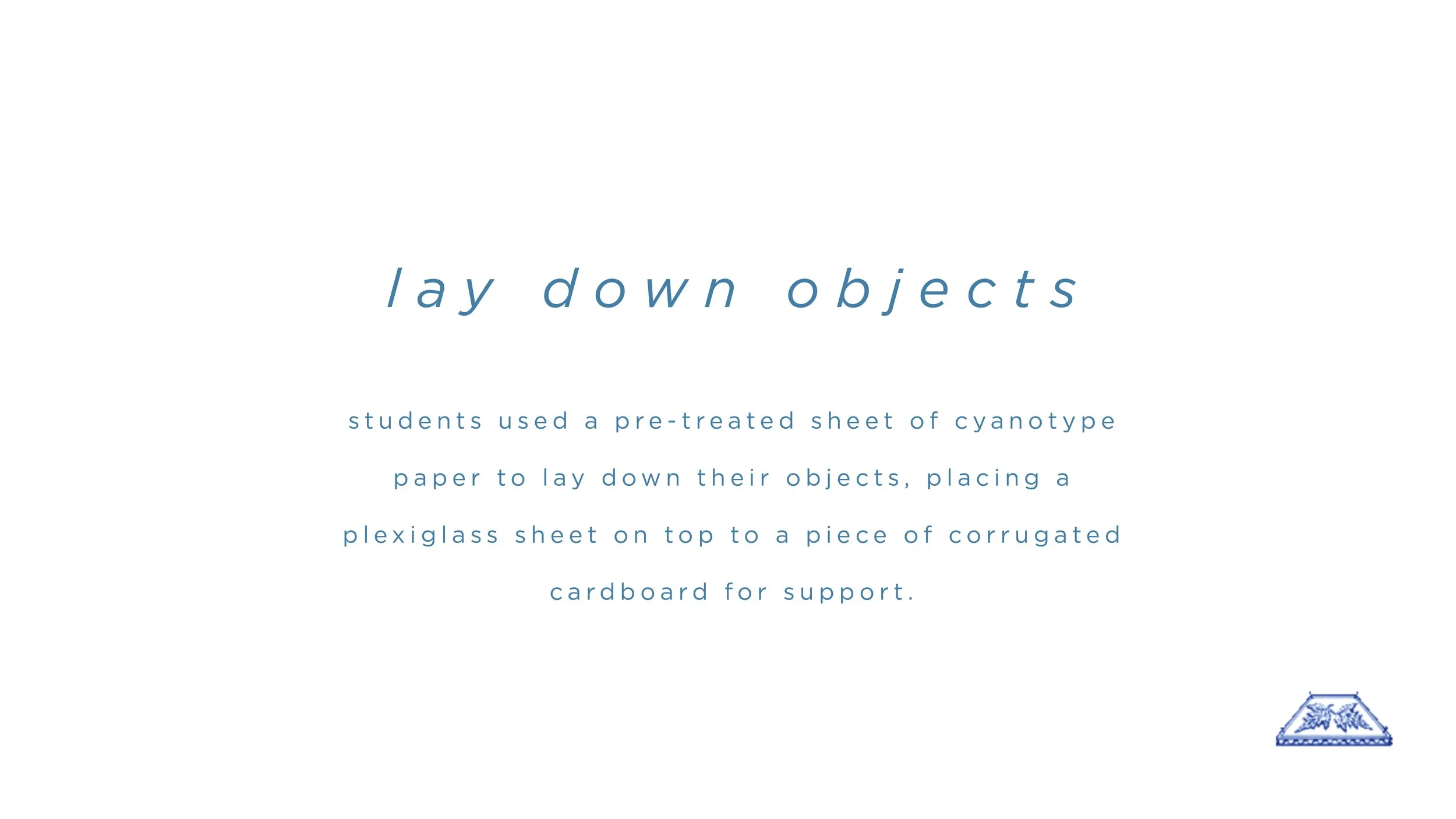 cyanotype | cross-curricular project7.jpg