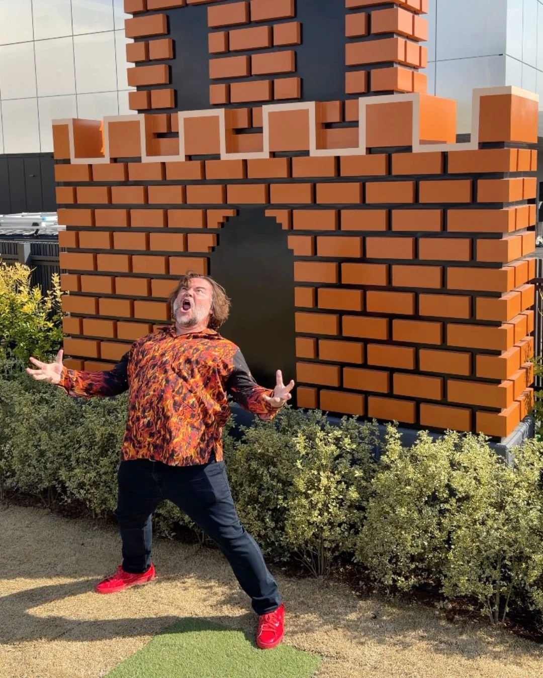 Mario WDR 27.jpg