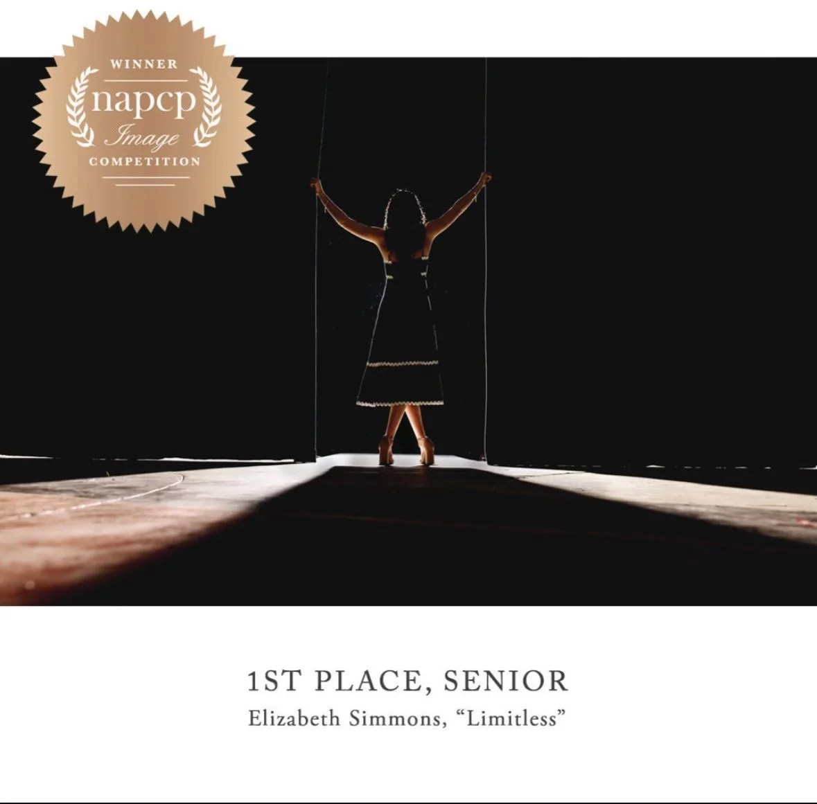 I am so beyond humbled to have received 1st place in the Senior category of the International photo competition through @napcp. I am so thankful for this group and the education and photographers I have met.
 
I wasn&rsquo;t going to submit. I get ti