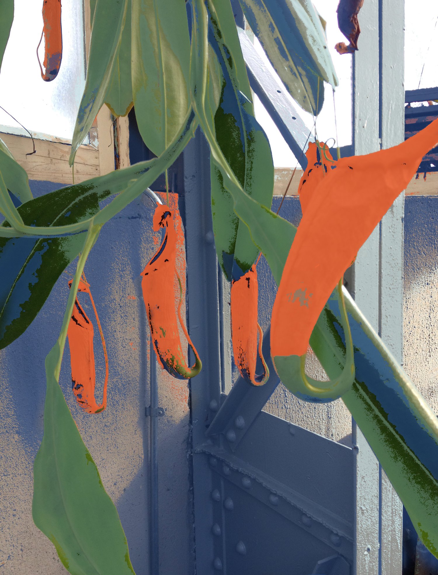 Pods