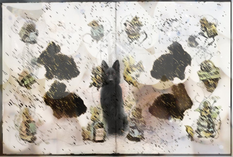 Bunnypages