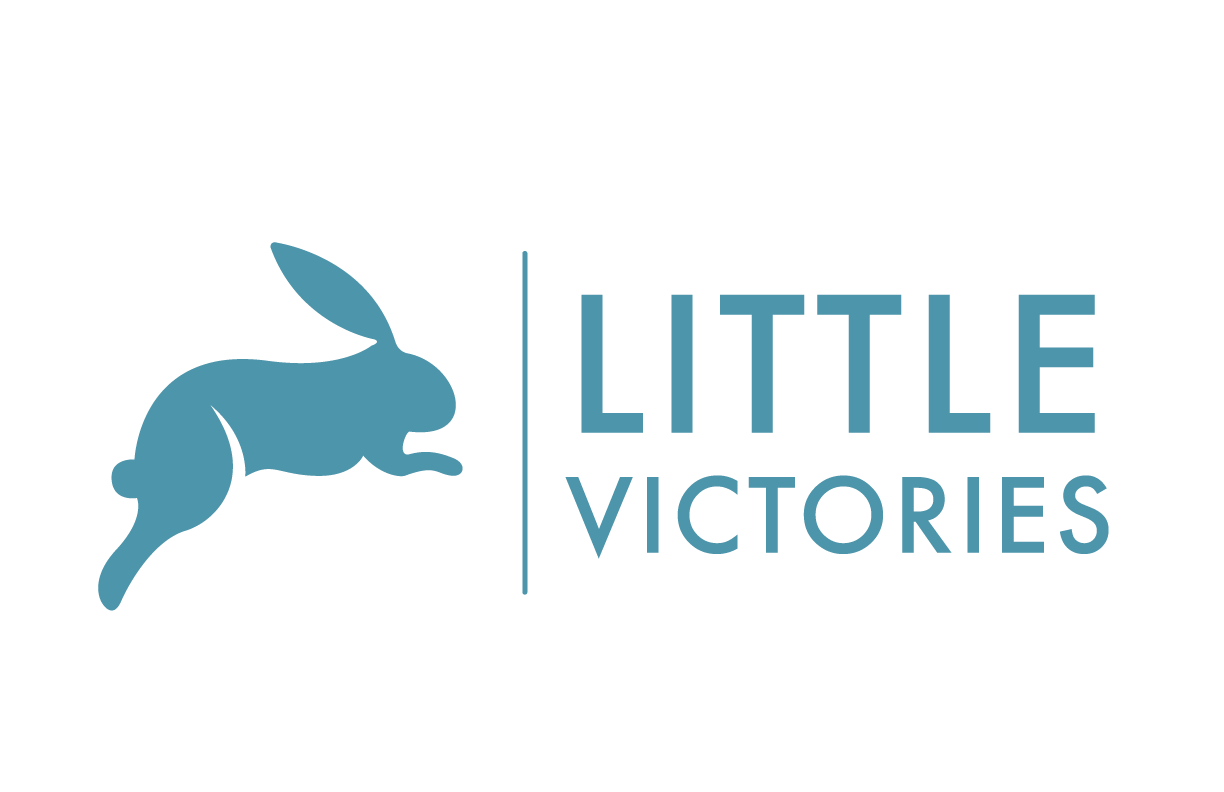 Option 3 for "Little Victories"