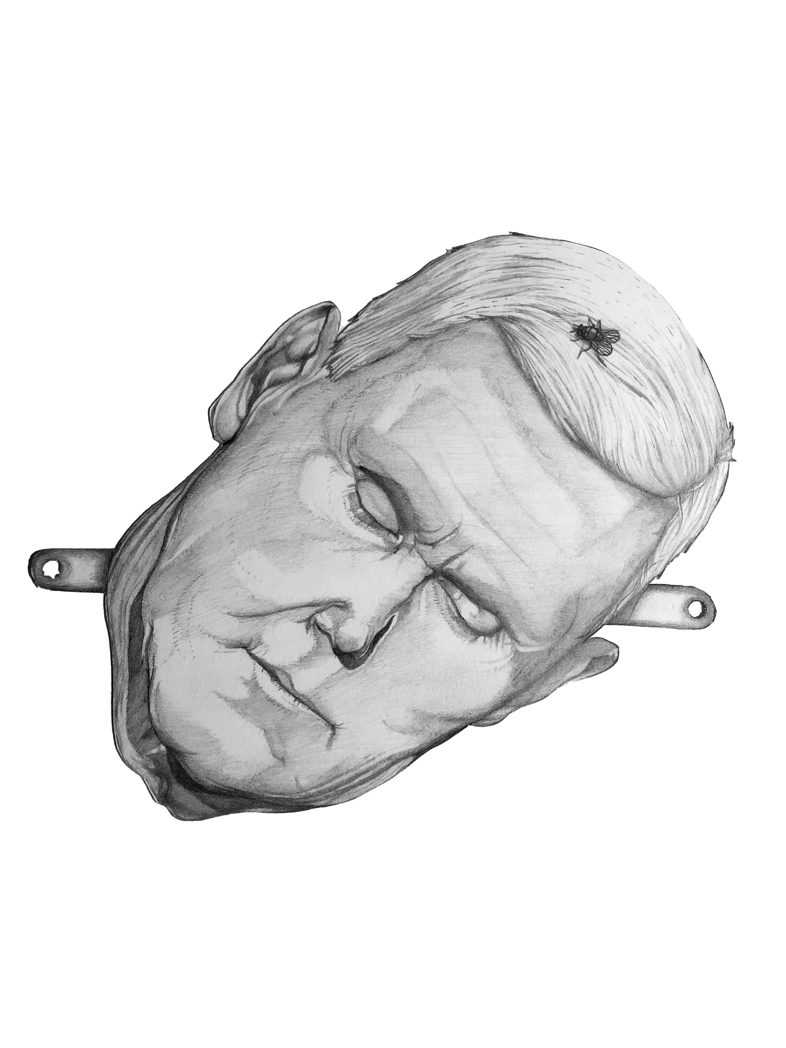 The Despot's Masquerade Halloween Masks - Mike "Sleepy Fly-Man" Pence