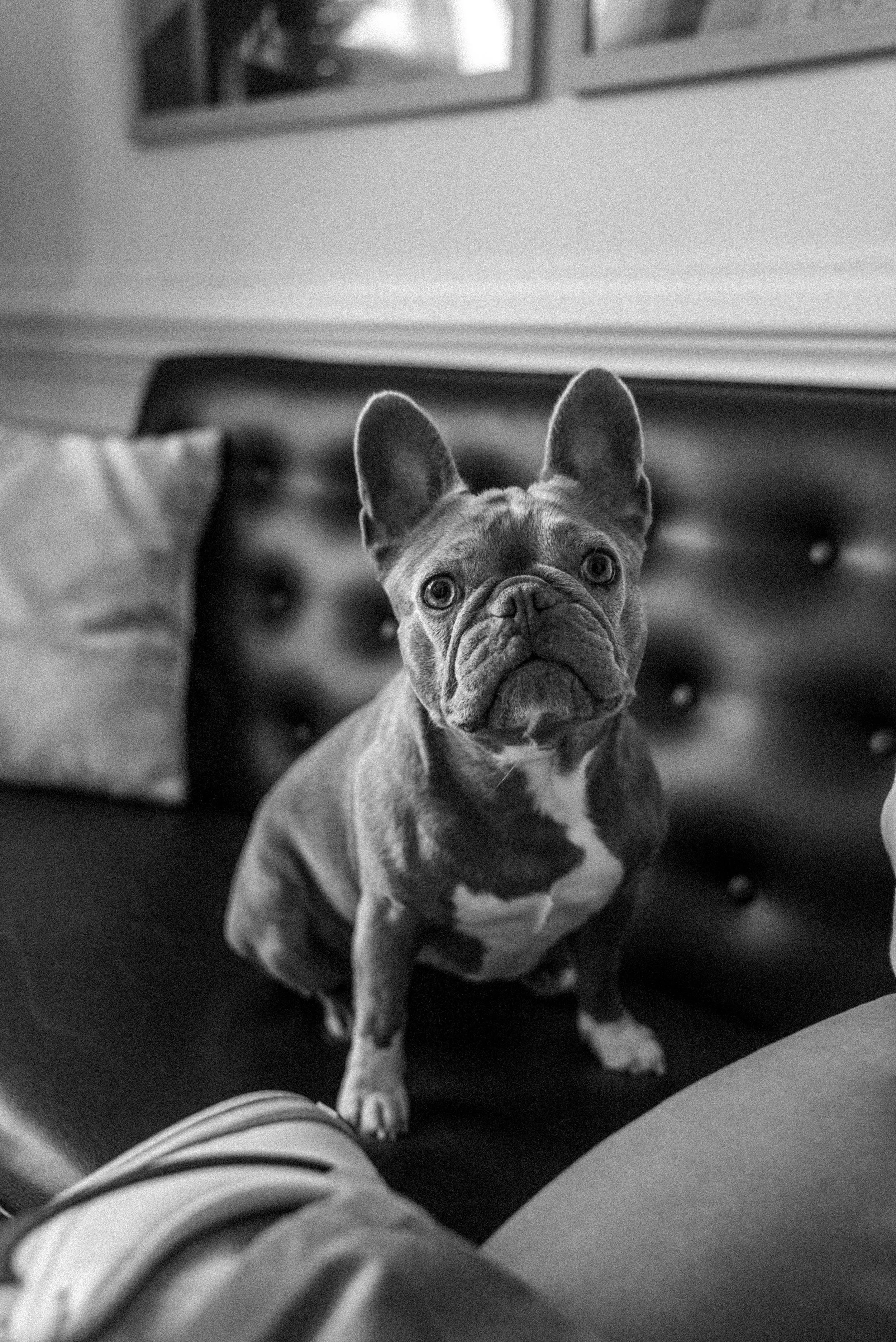 PSB 070124 In Office_Treated-15.jpg