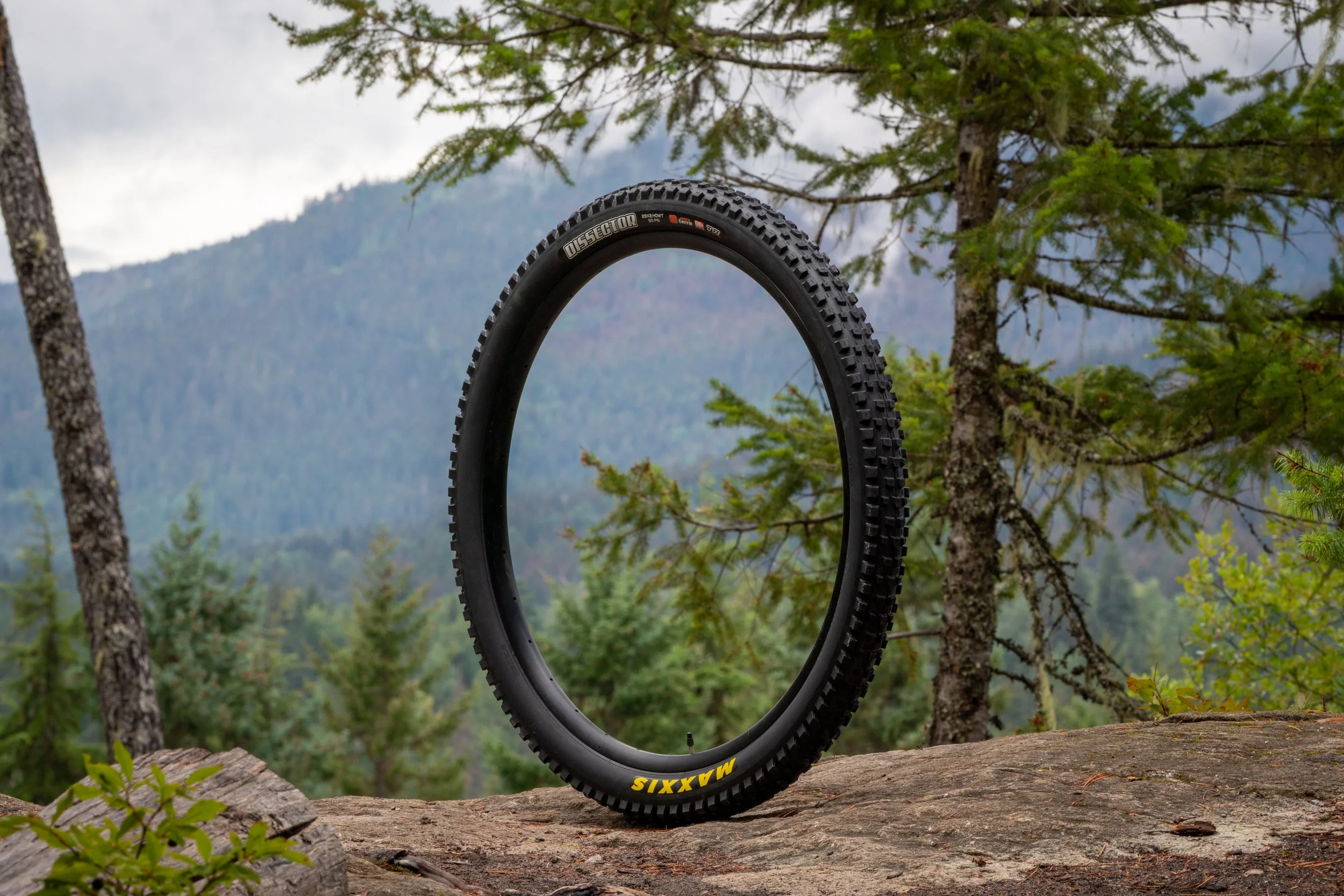 On Trail Beauty-3.jpg