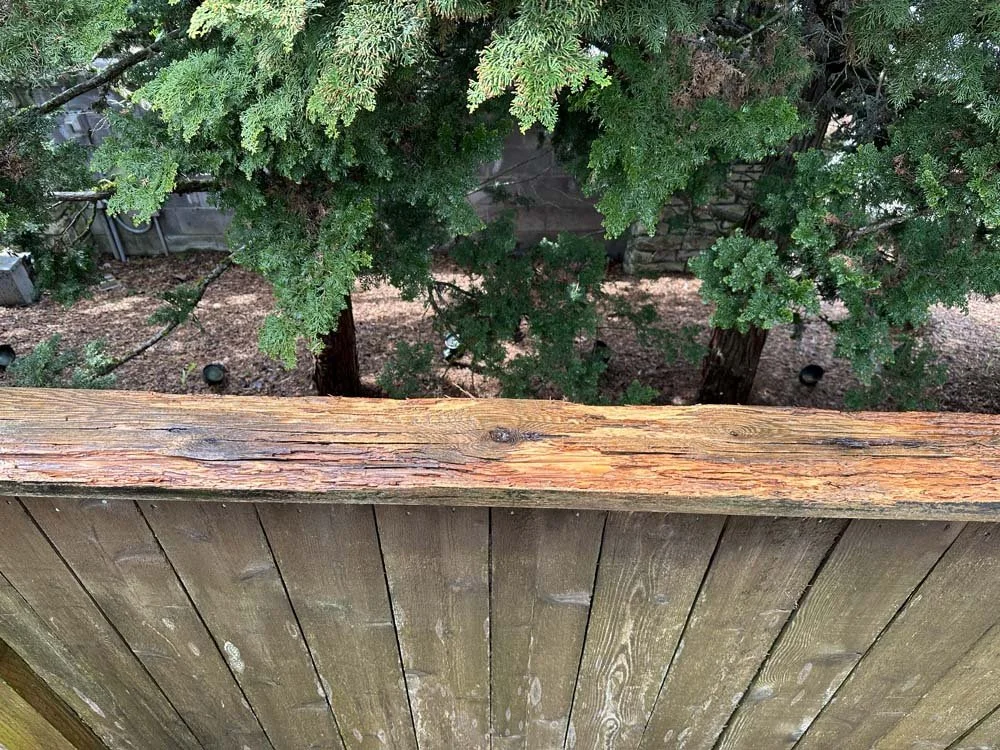 Trillium-Deck fence wood staining-4.jpg