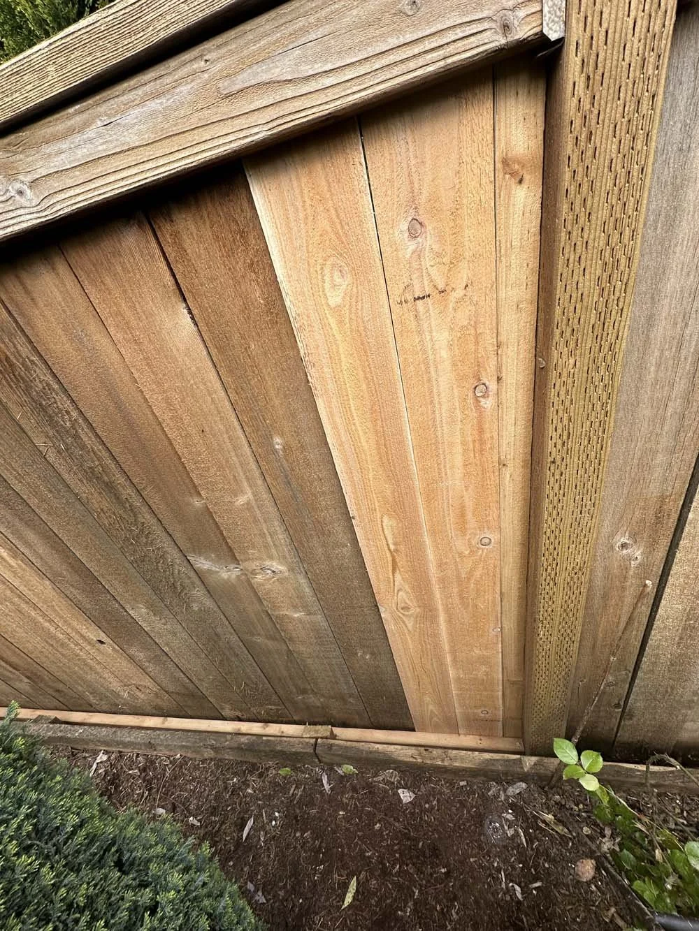 Trillium-Deck fence wood staining-6.jpg