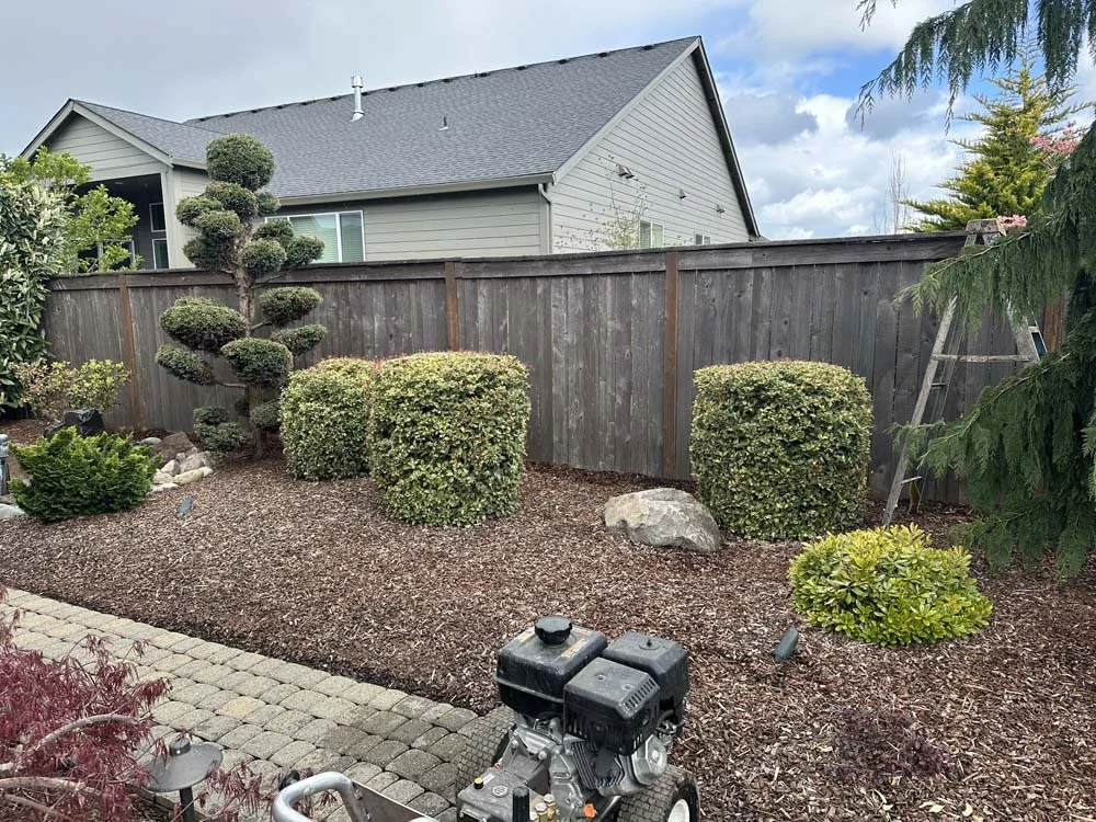 Trillium-Deck fence wood staining-7.jpg