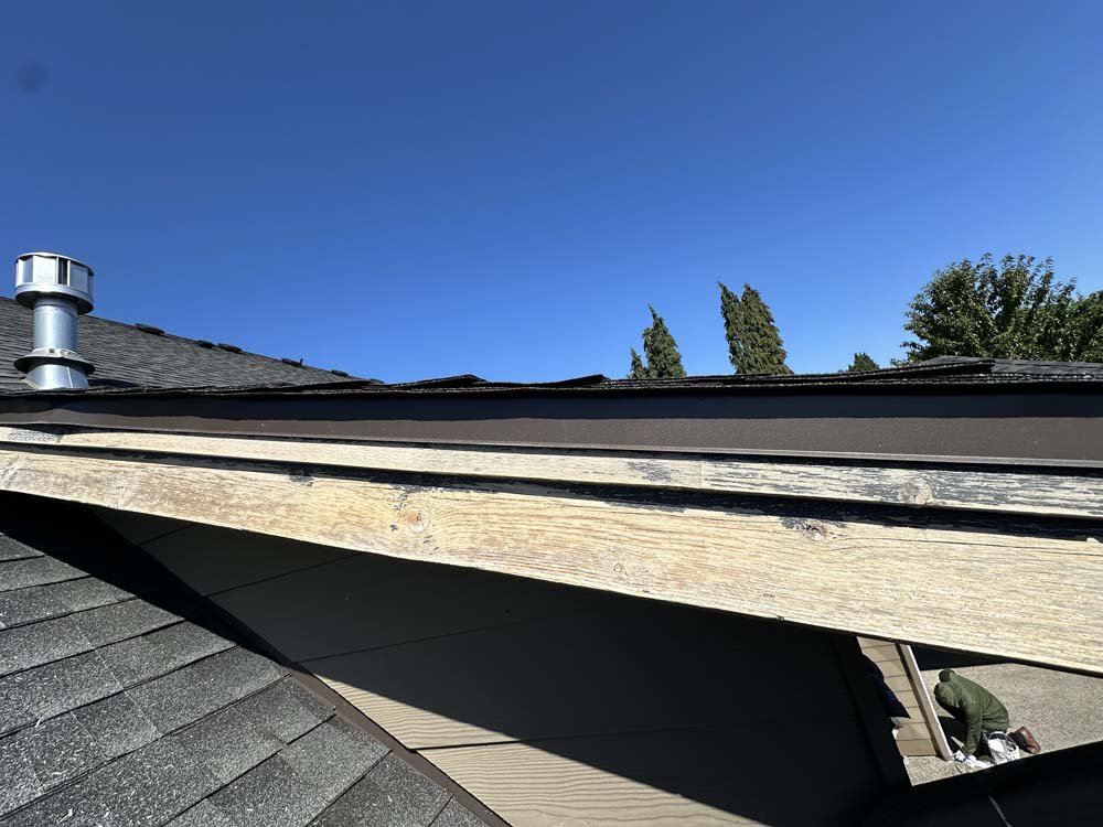 Trillium-Exterior house painting-11.jpg