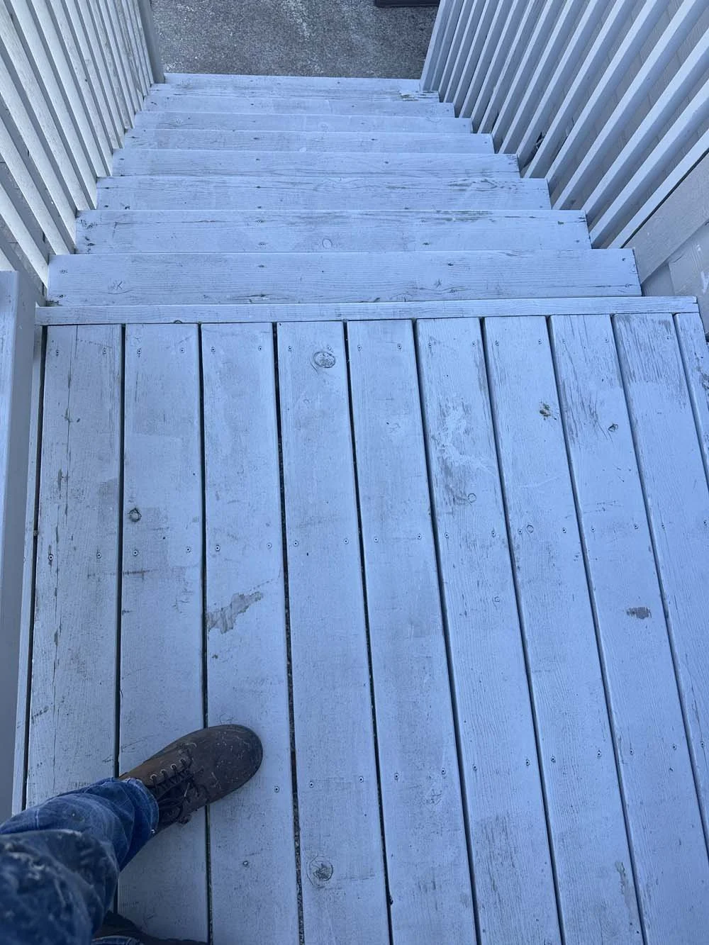 Trillium-Exterior house painting-1.jpg