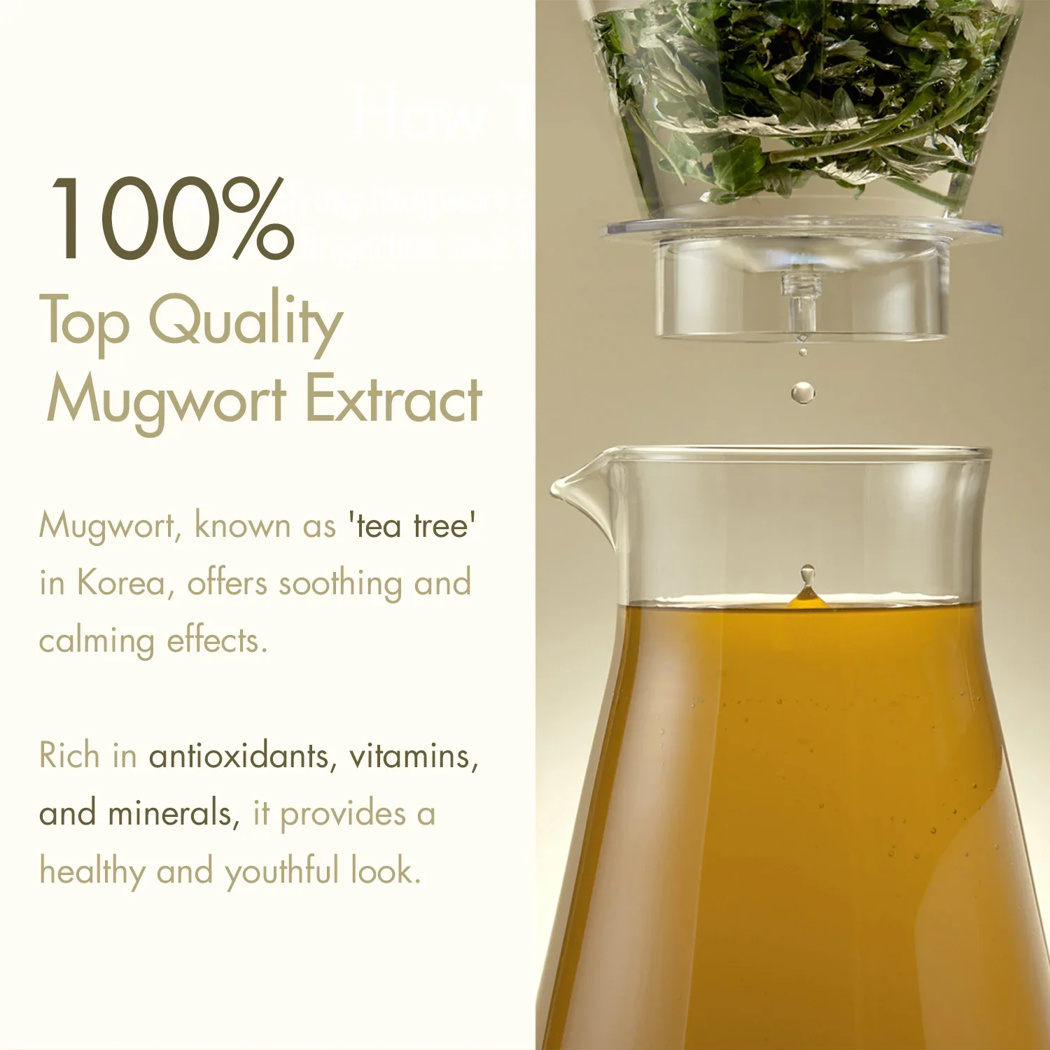 im from mugwort essence.webp