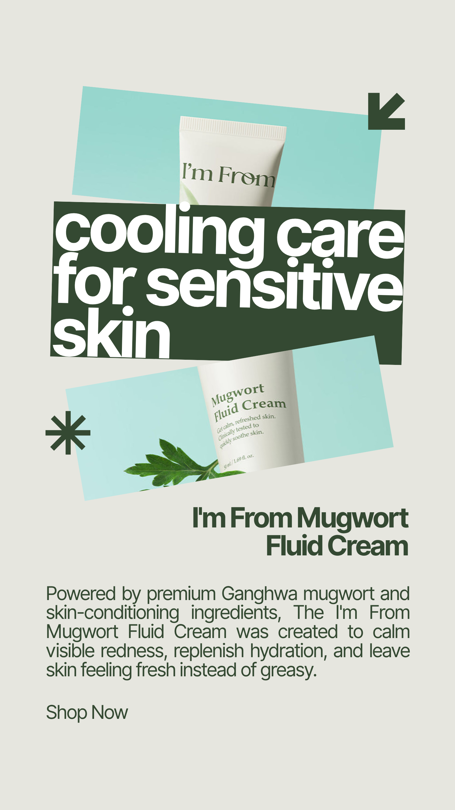 Cooling Care for Sensitive Skin: I'm From Mugwort Fluid Cream