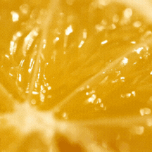 Close-up of a sliced lemon with visible juice and pulp.